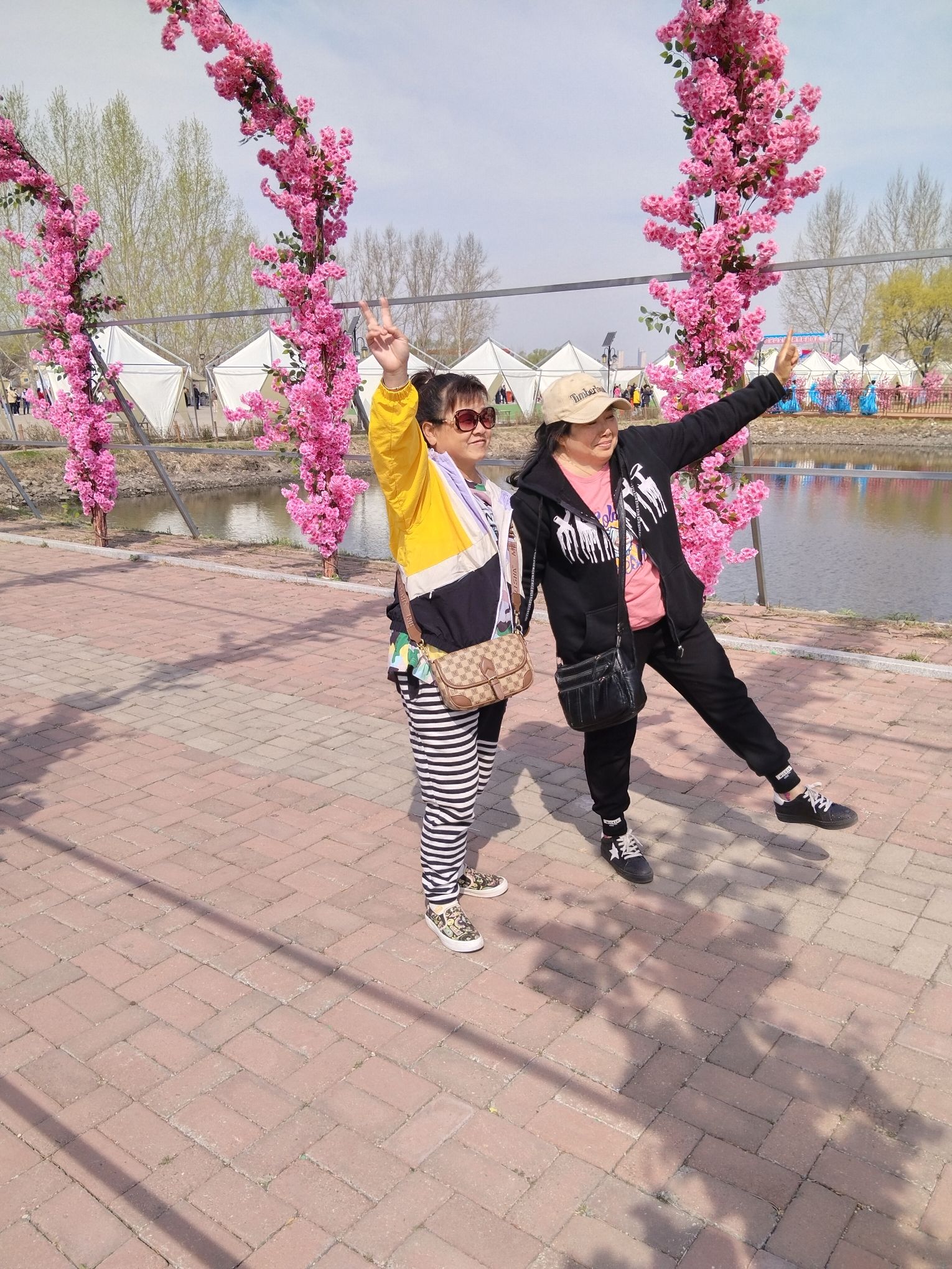 湿地公园旅行图片 3