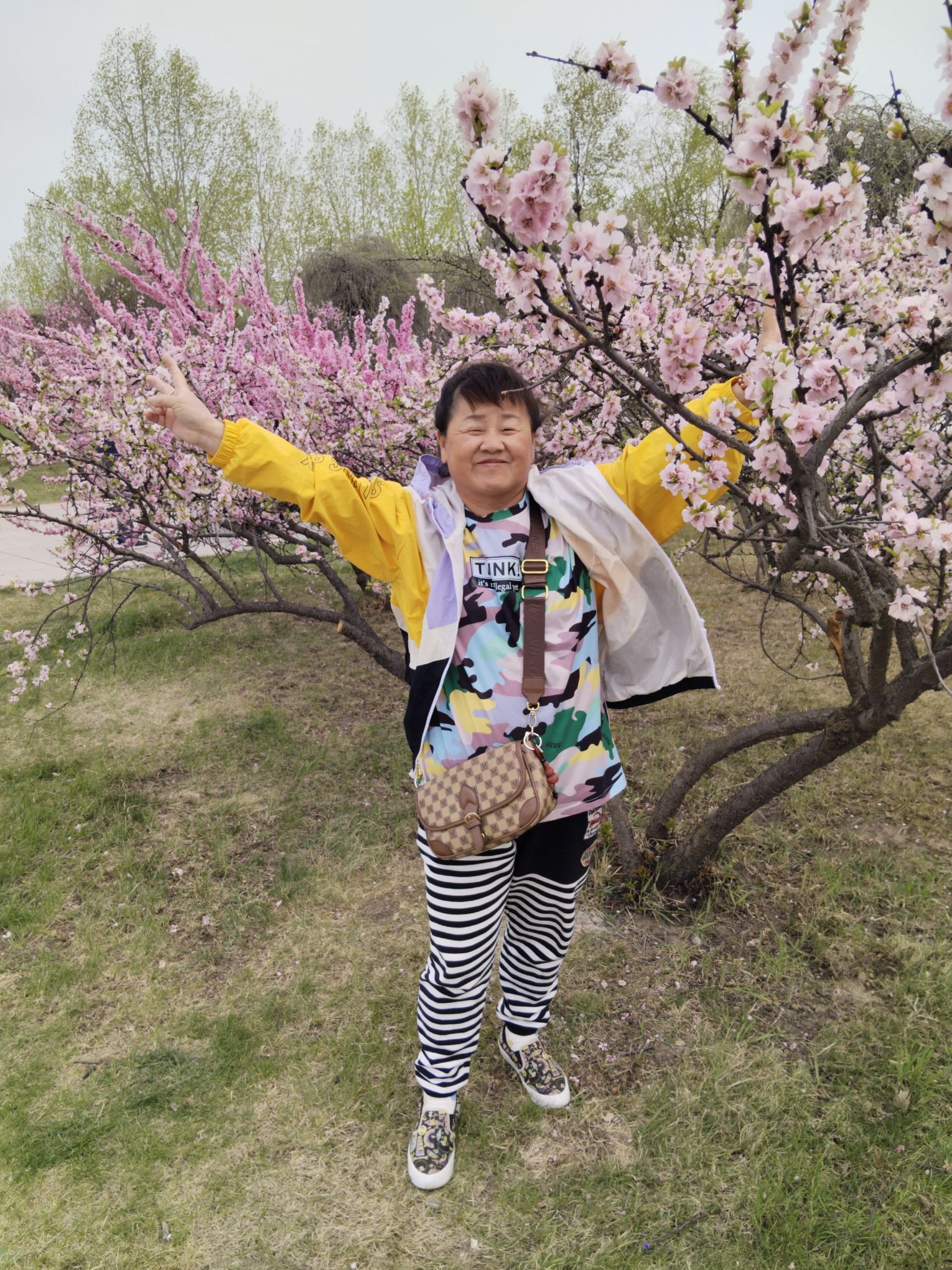 湿地公园旅行图片 2
