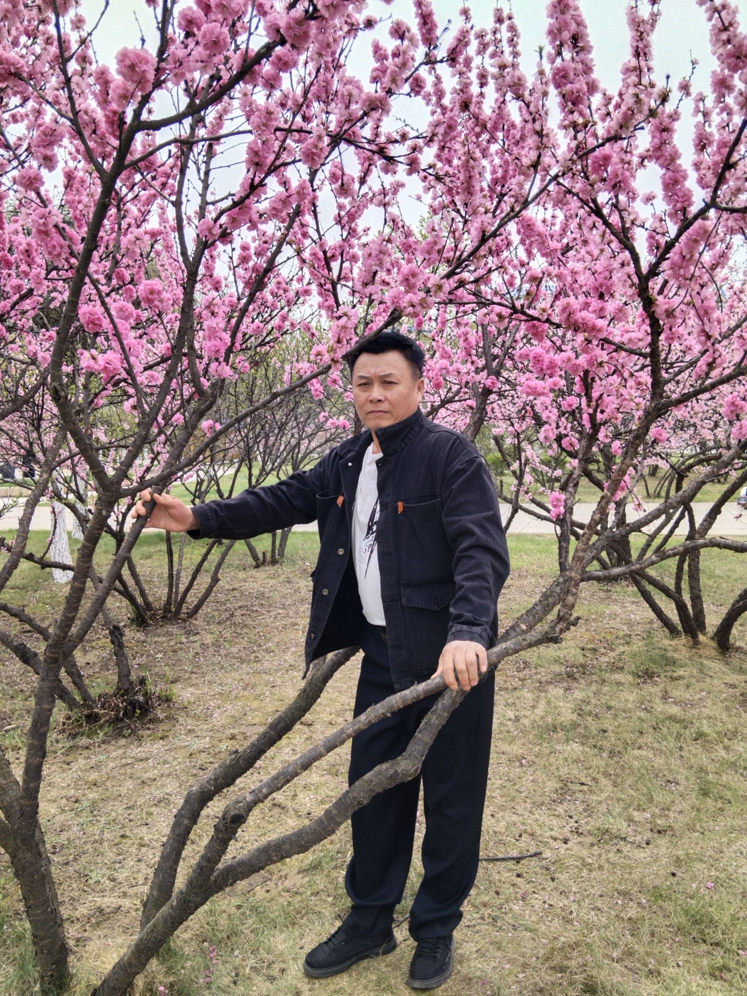 湿地公园旅行图片 1