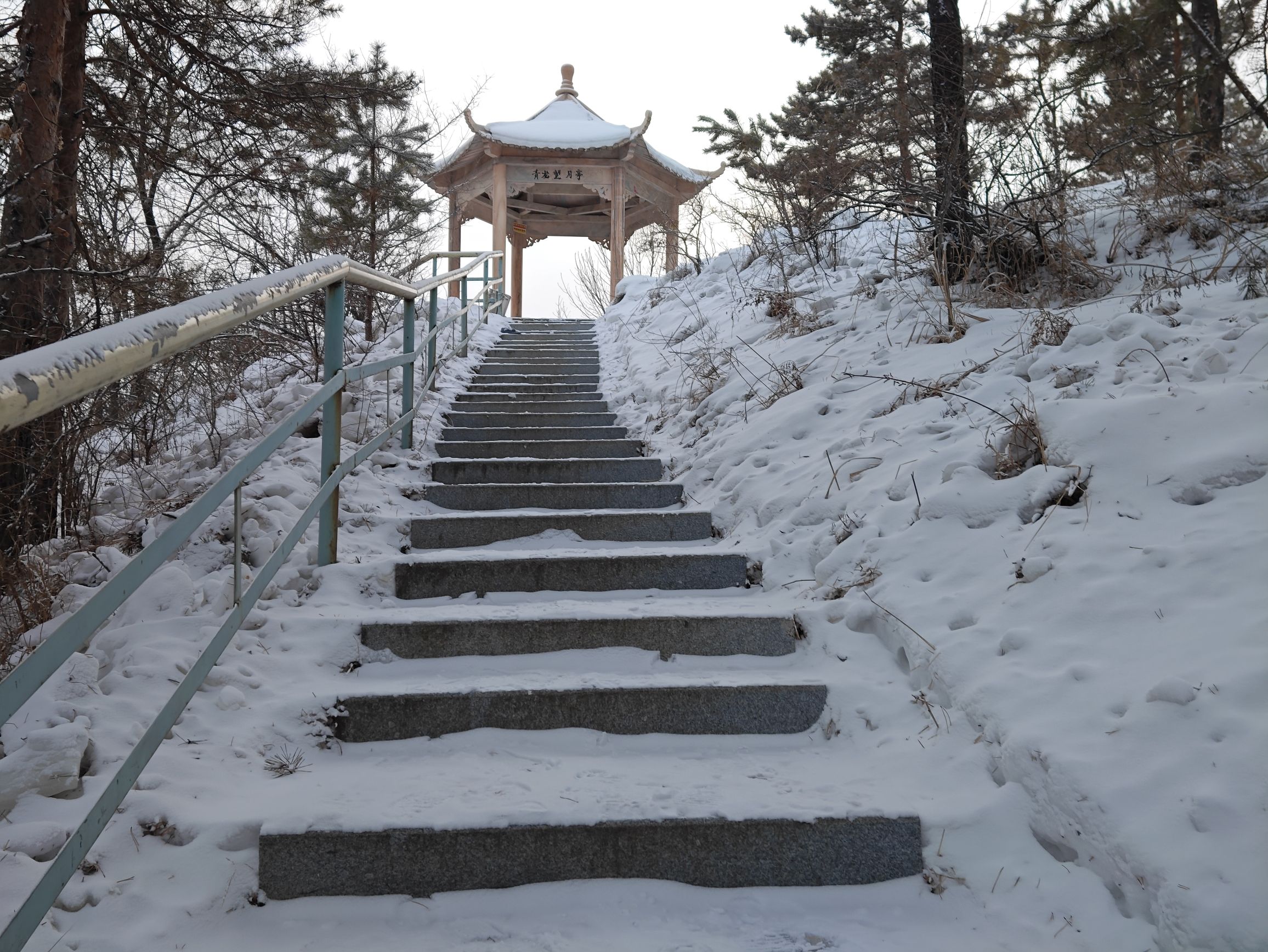 青龙山公园旅行图片 2
