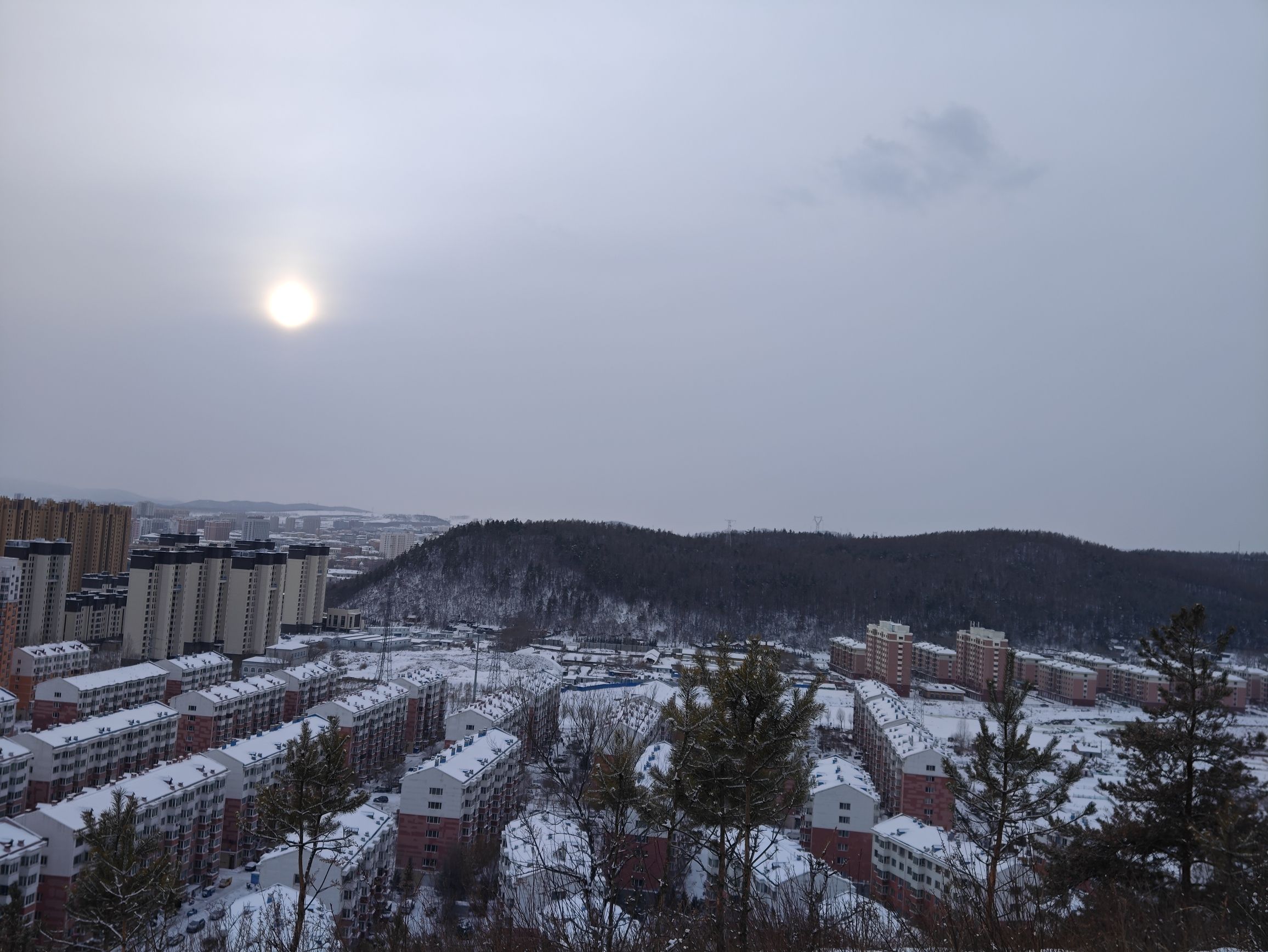 青龙山公园旅行图片 1
