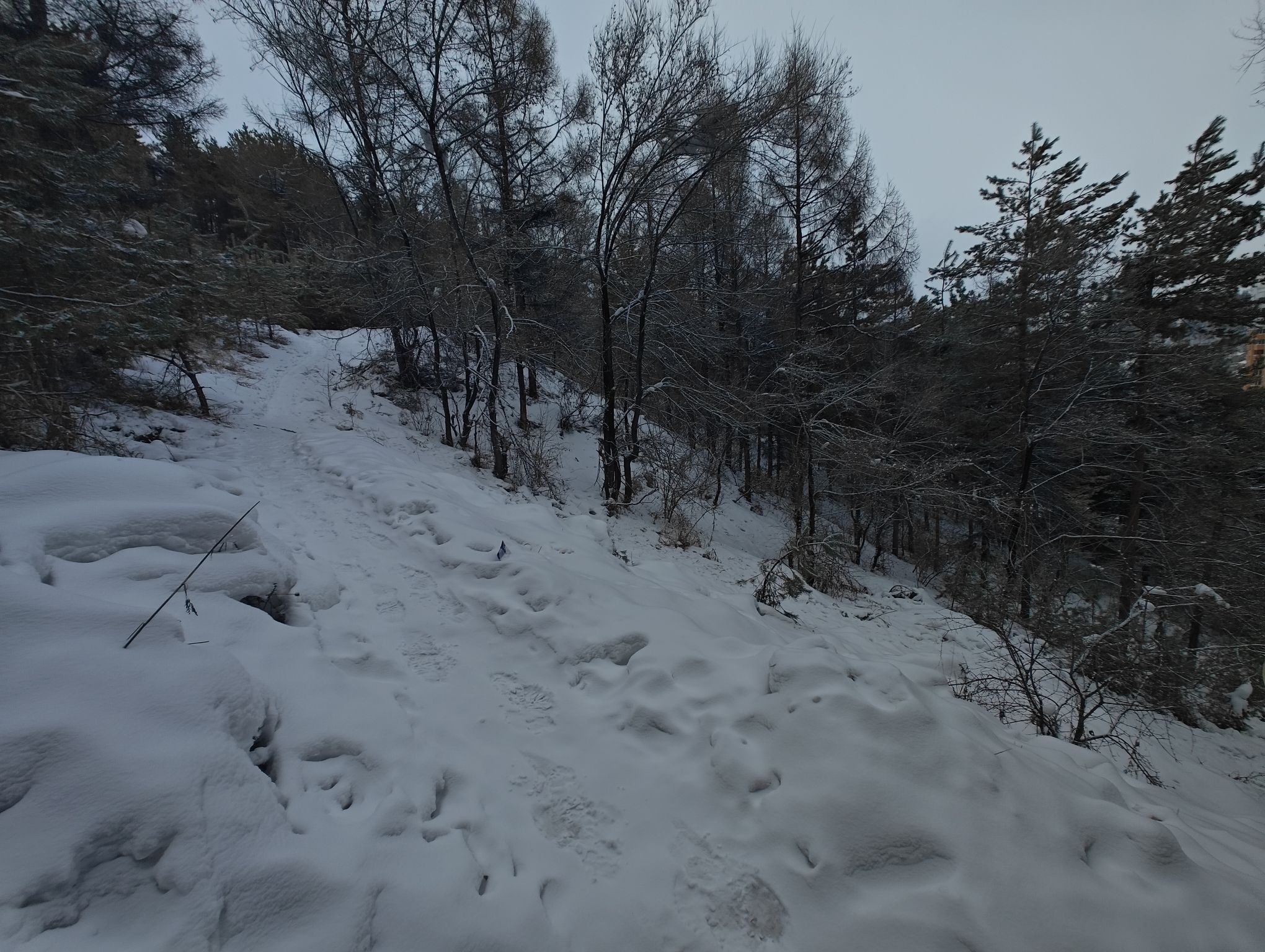青龙山公园旅行图片 3