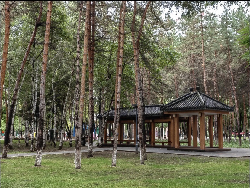 西林公园旅行图片 2