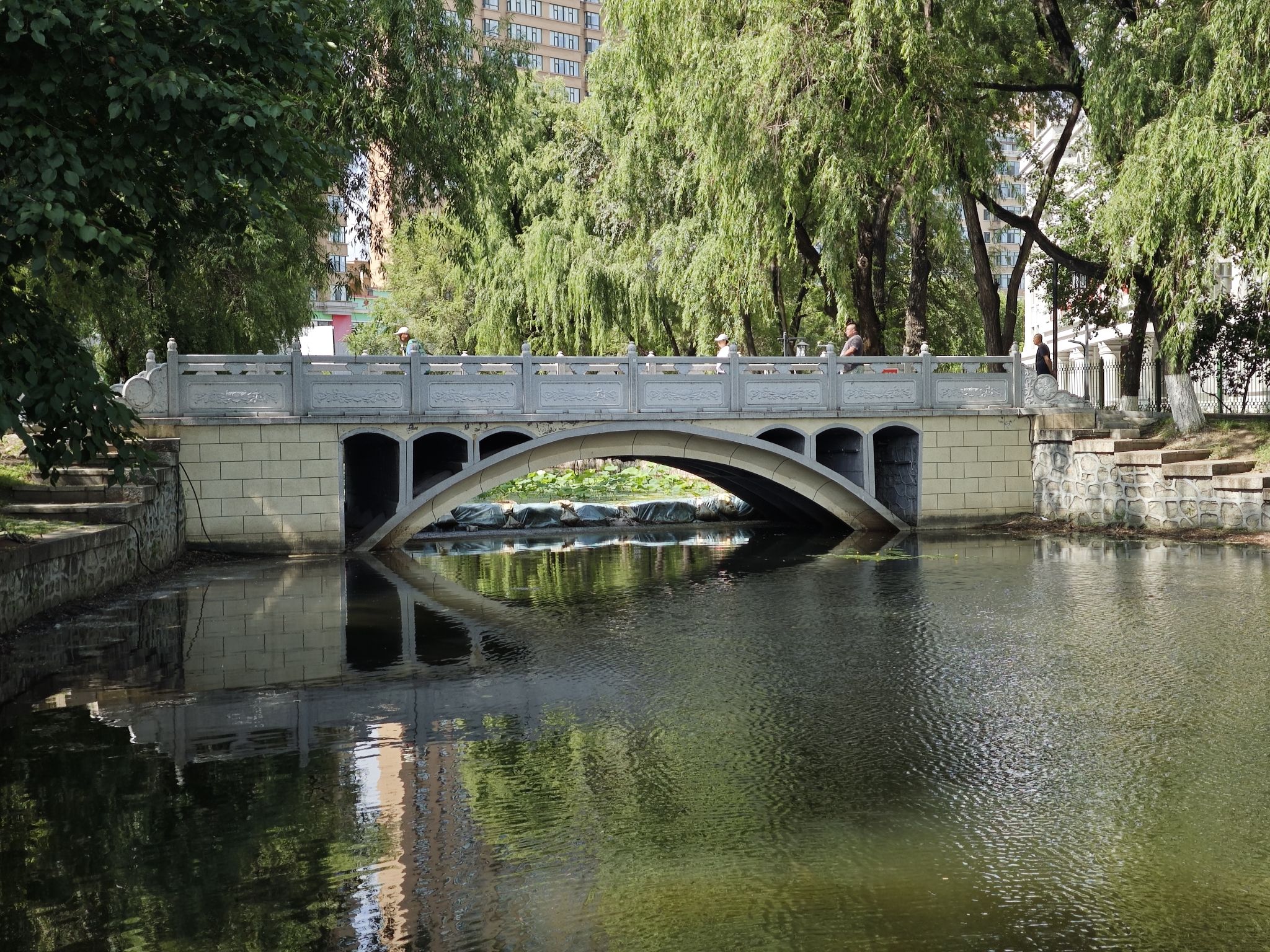 西林公园旅行图片 3
