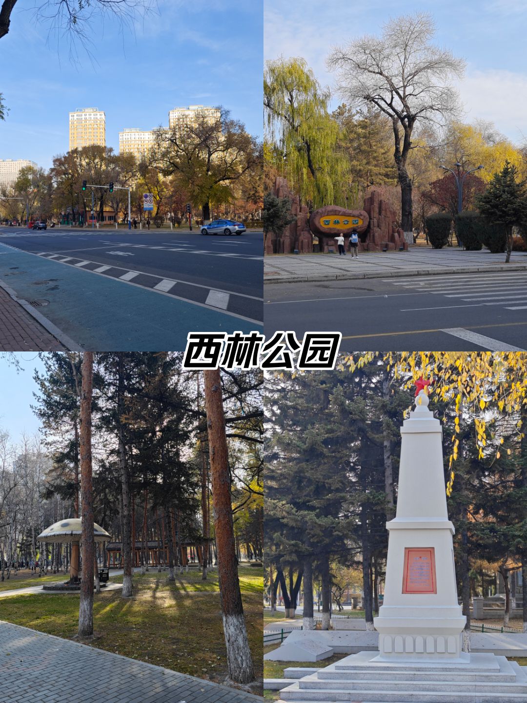 西林公园旅行图片 1