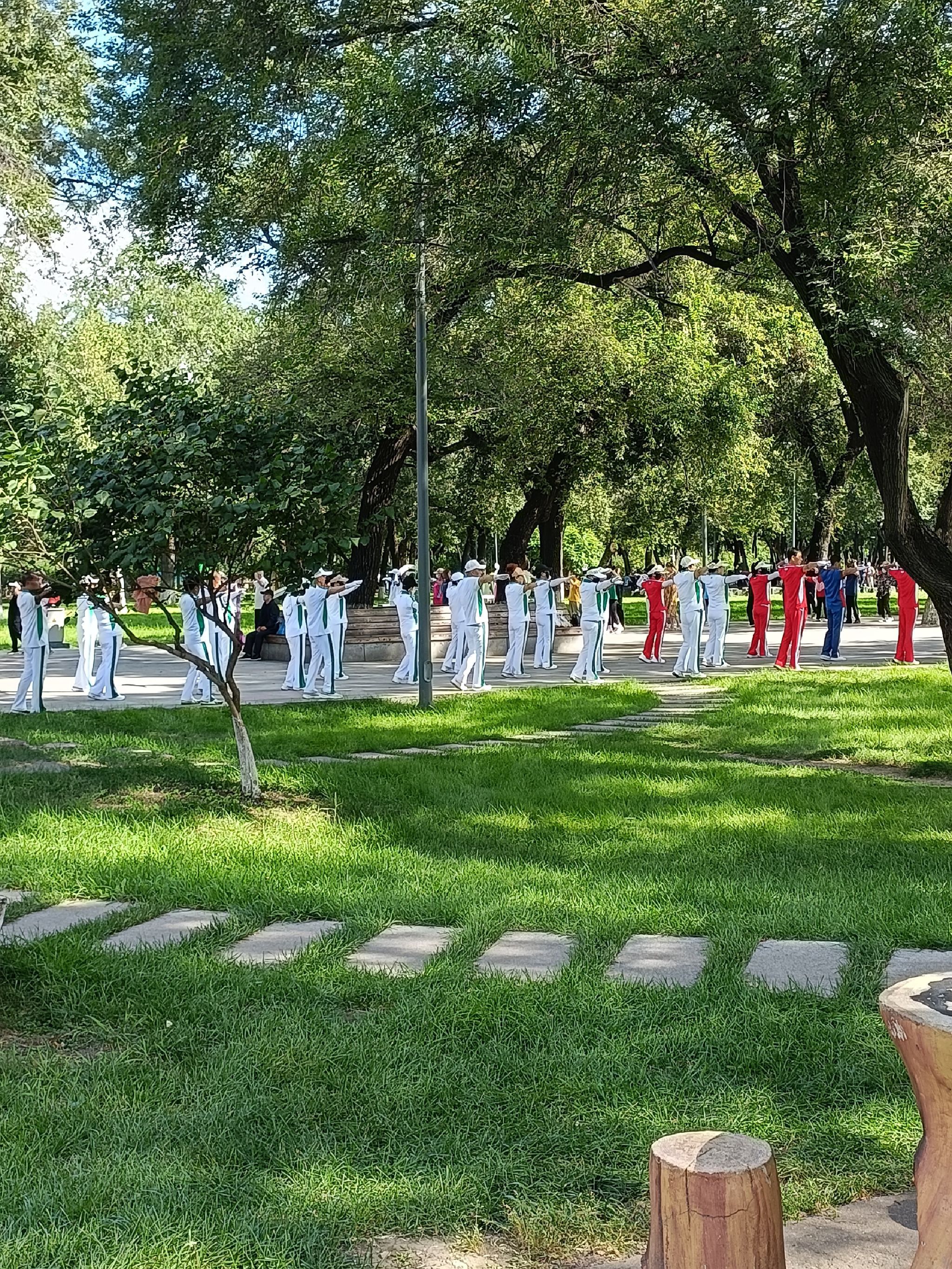 胜利公园旅行图片 1