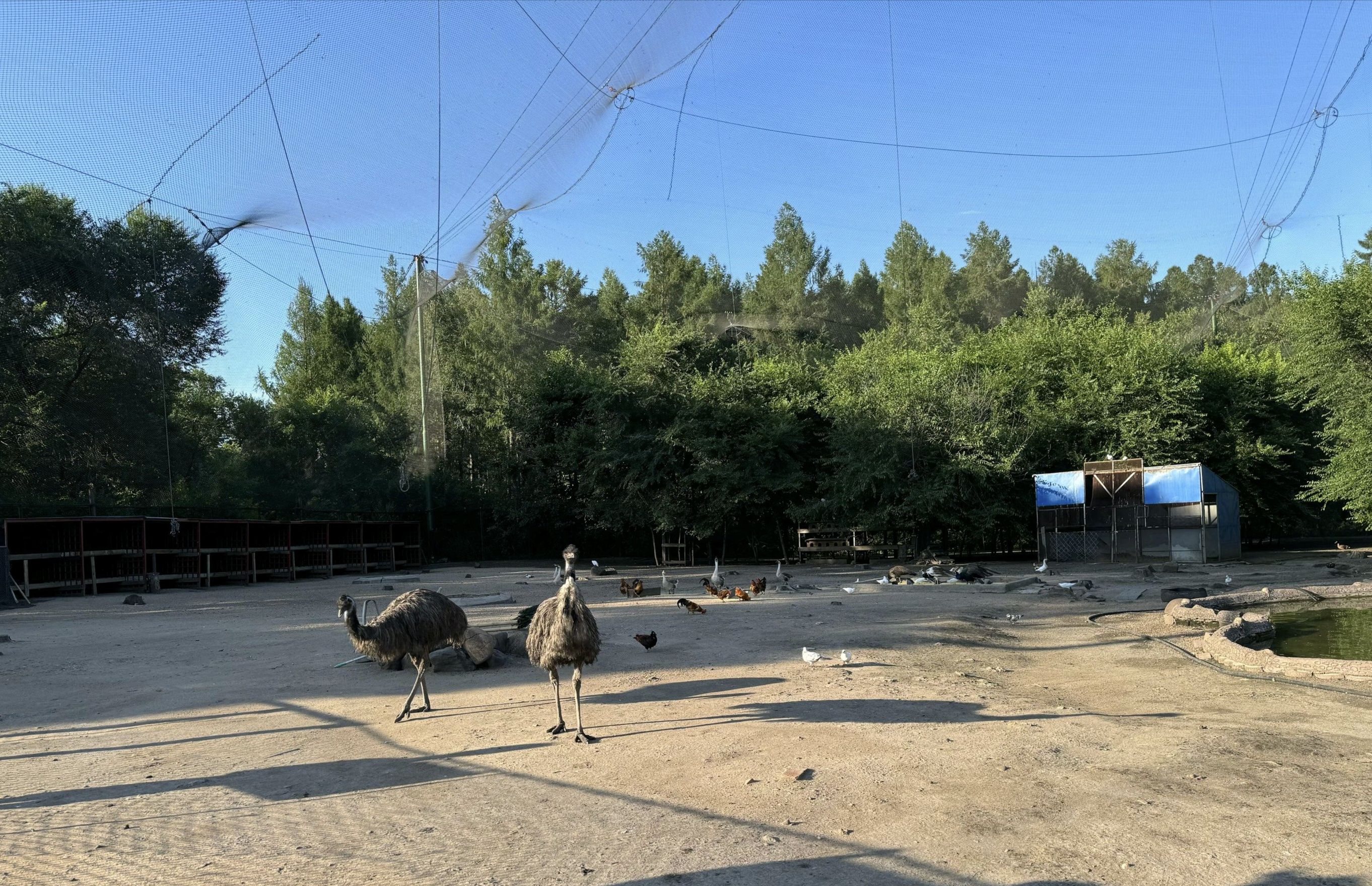 佳木斯市水源山公园旅行图片 3