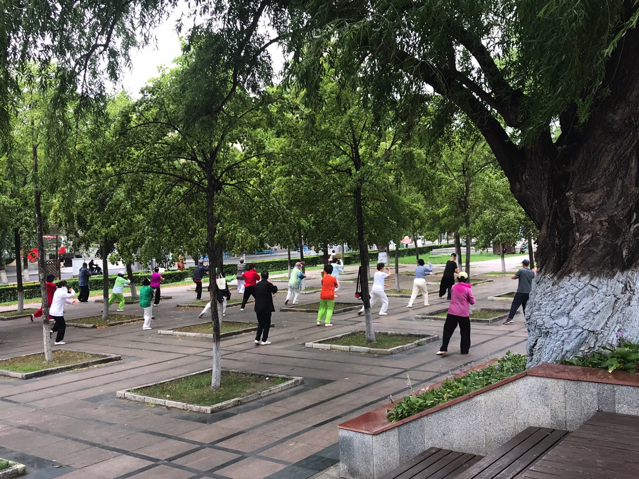 佳木斯市沿江公园旅行图片 2