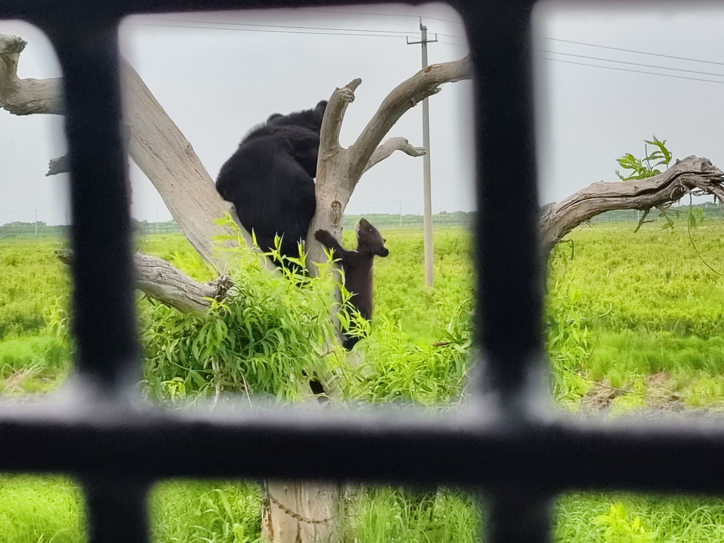 乌苏镇东方第一哨旅行图片 3