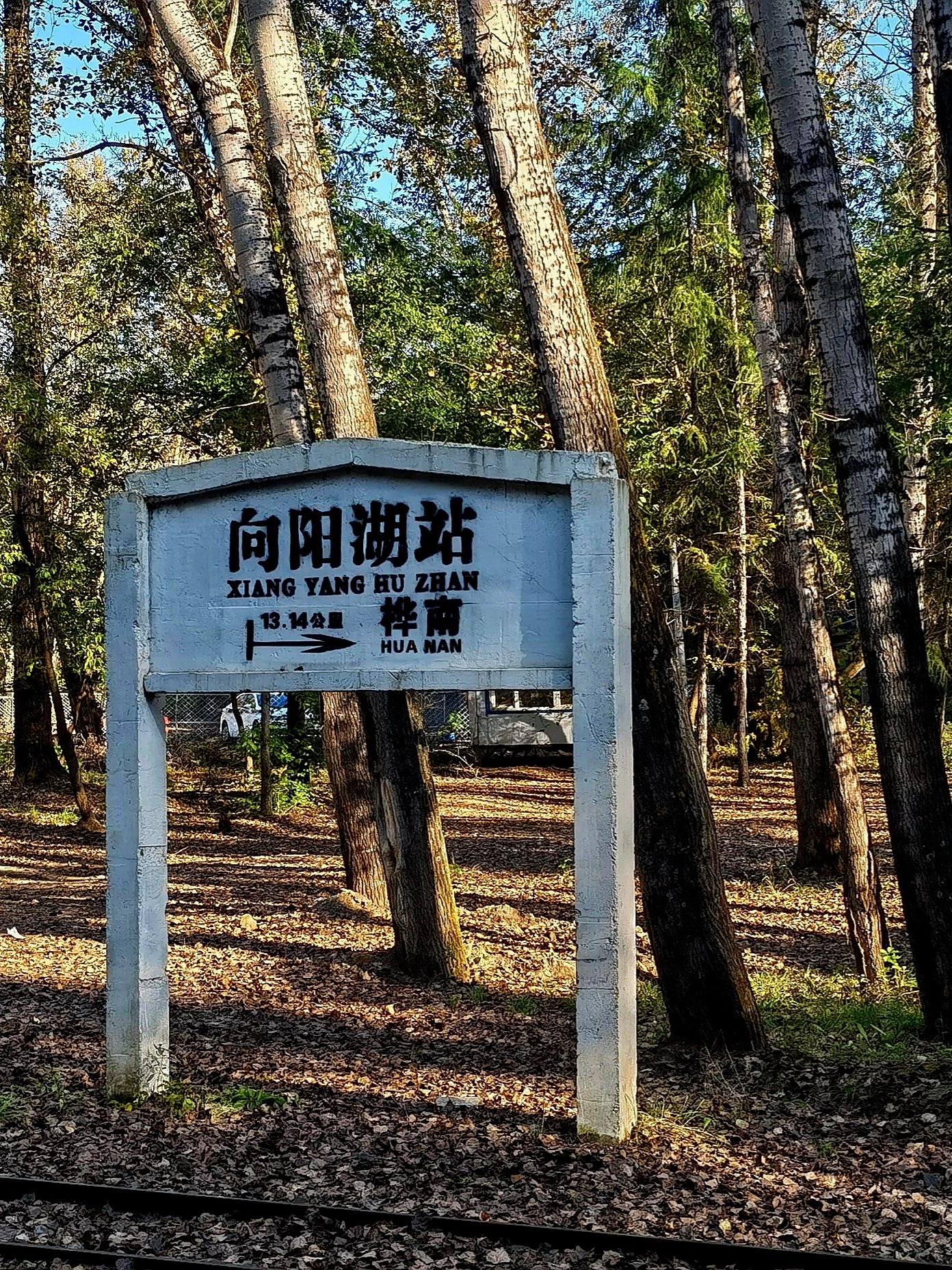 向阳湖风景区