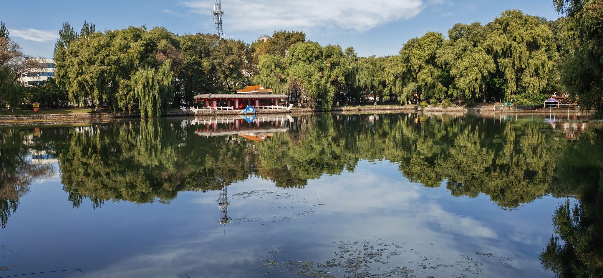 杏林湖公园旅行图片 1