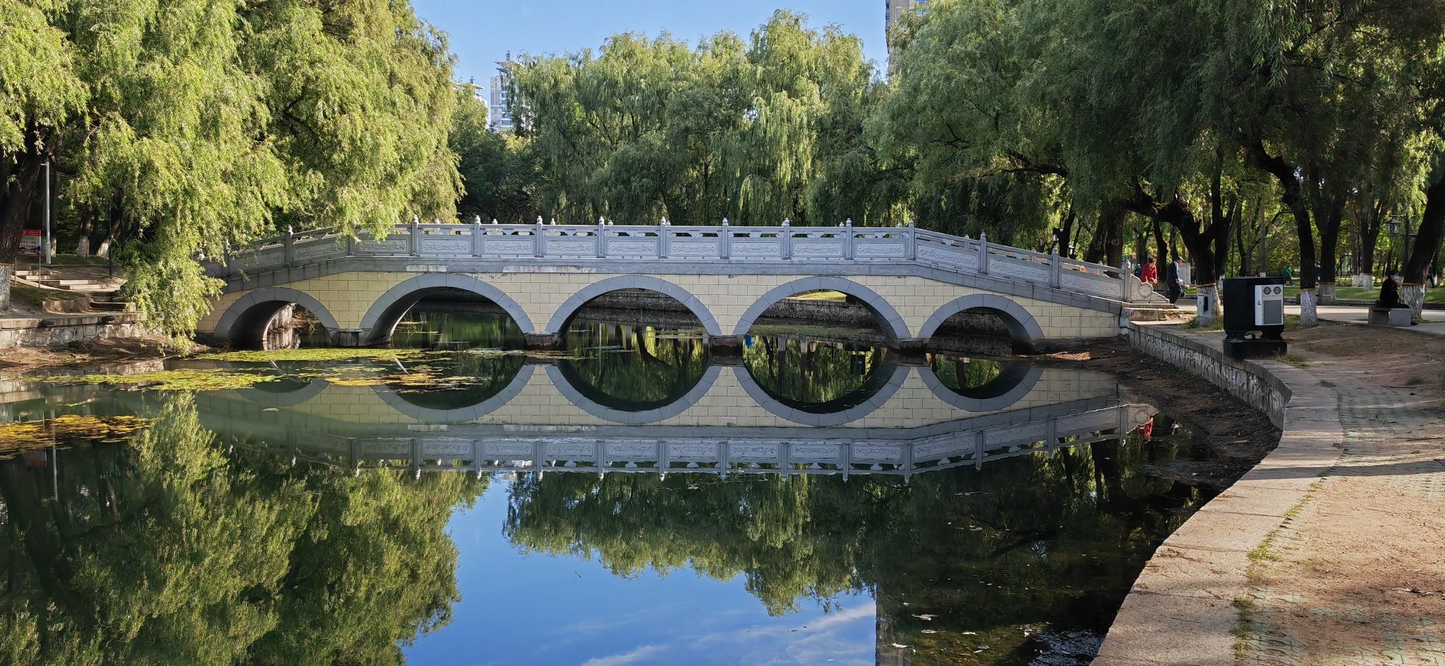 杏林湖公园旅行图片 2