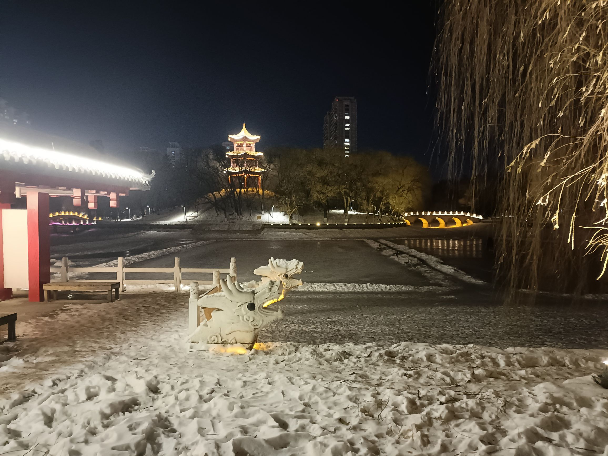 杏林湖公园旅行图片 1