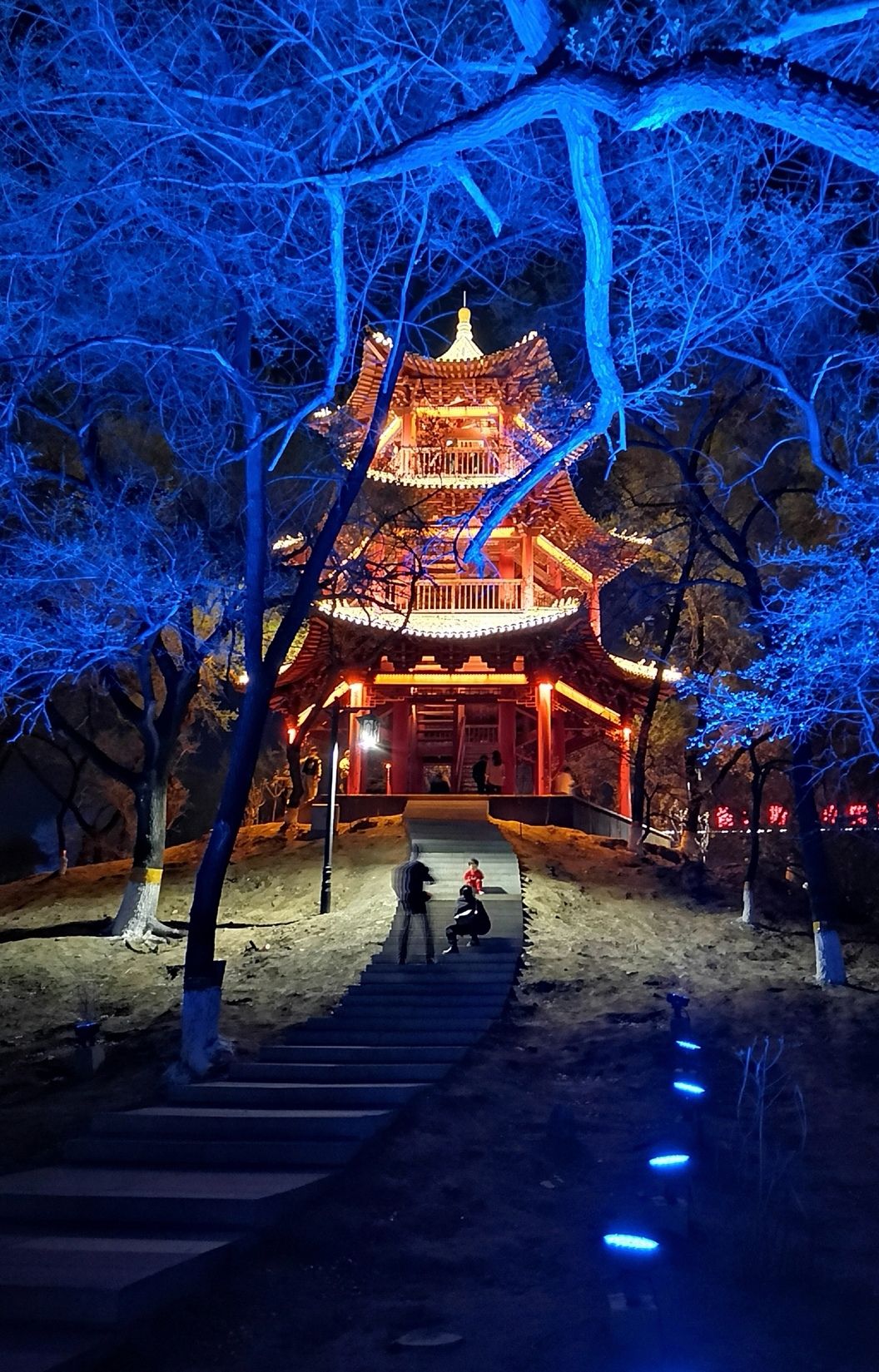 杏林湖公园旅行图片 1
