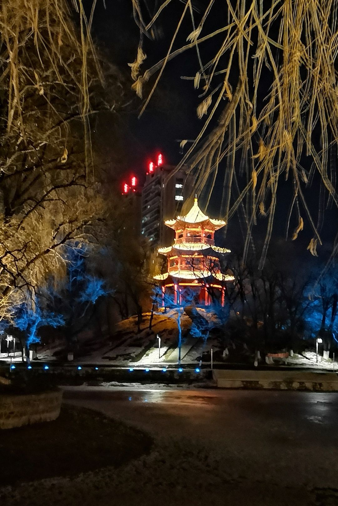杏林湖公园旅行图片 3
