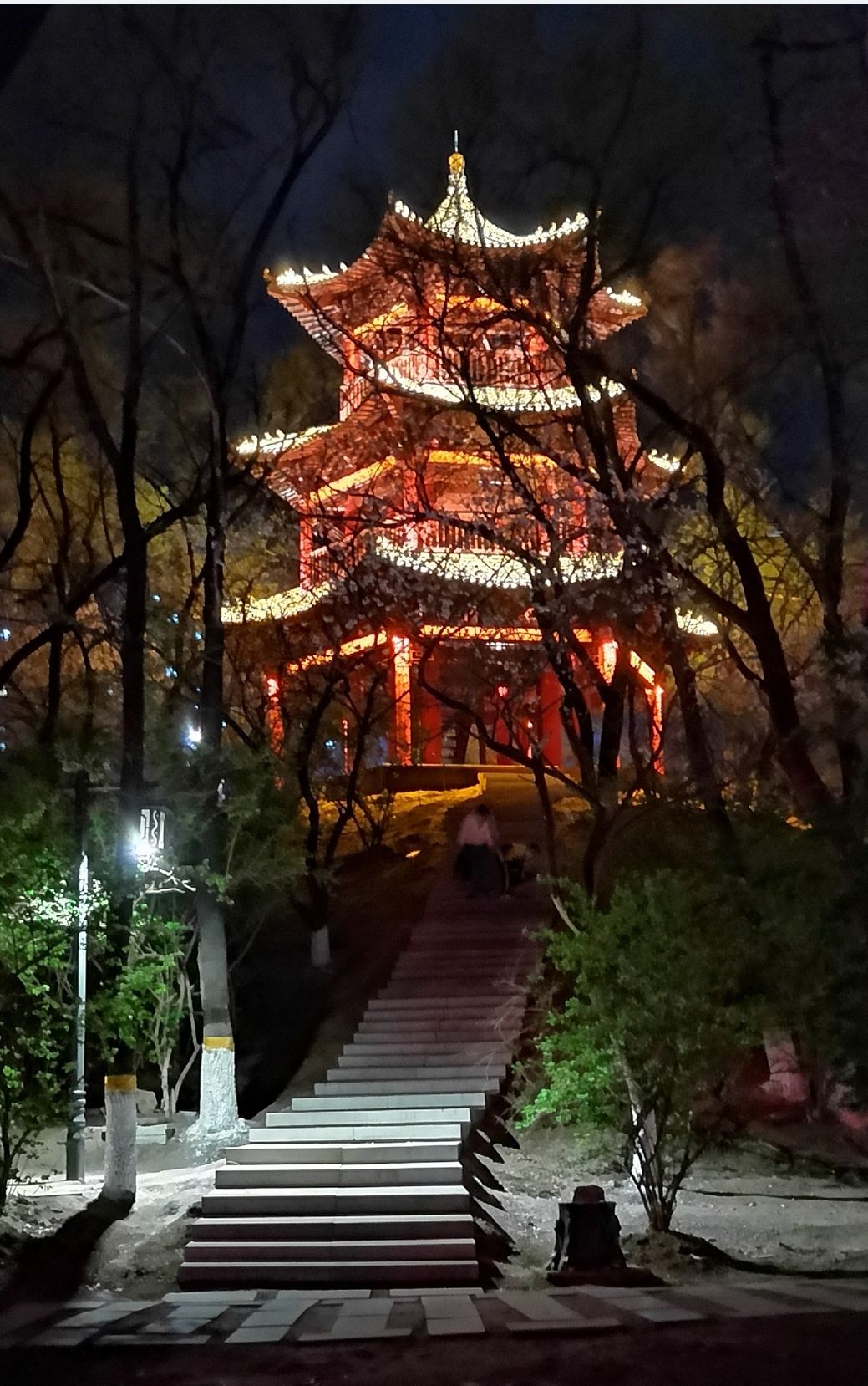 杏林湖公园旅行图片 2