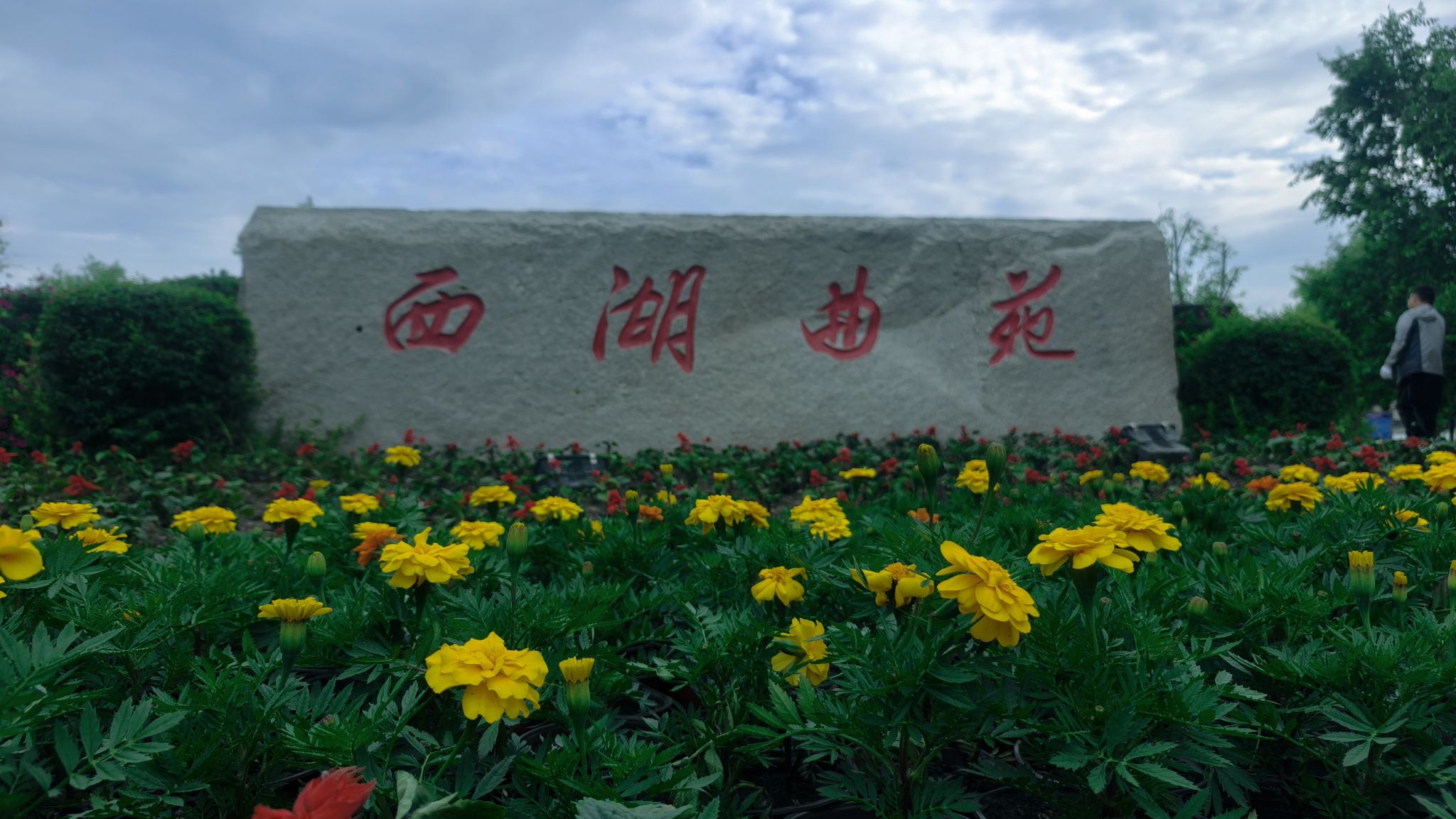 桦西湖公园旅行图片 3
