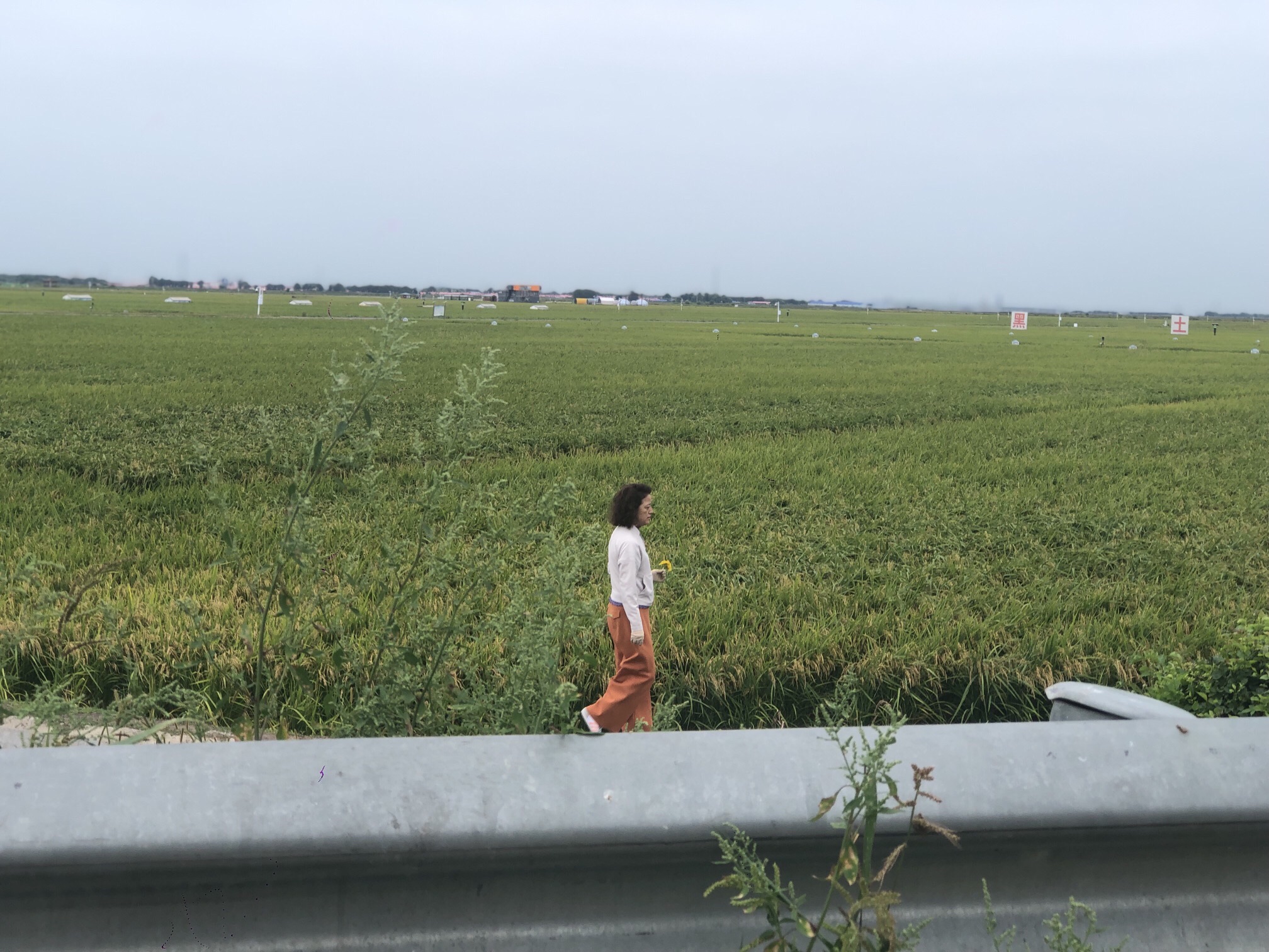 富锦国家湿地公园(暂停开放)旅行图片 3