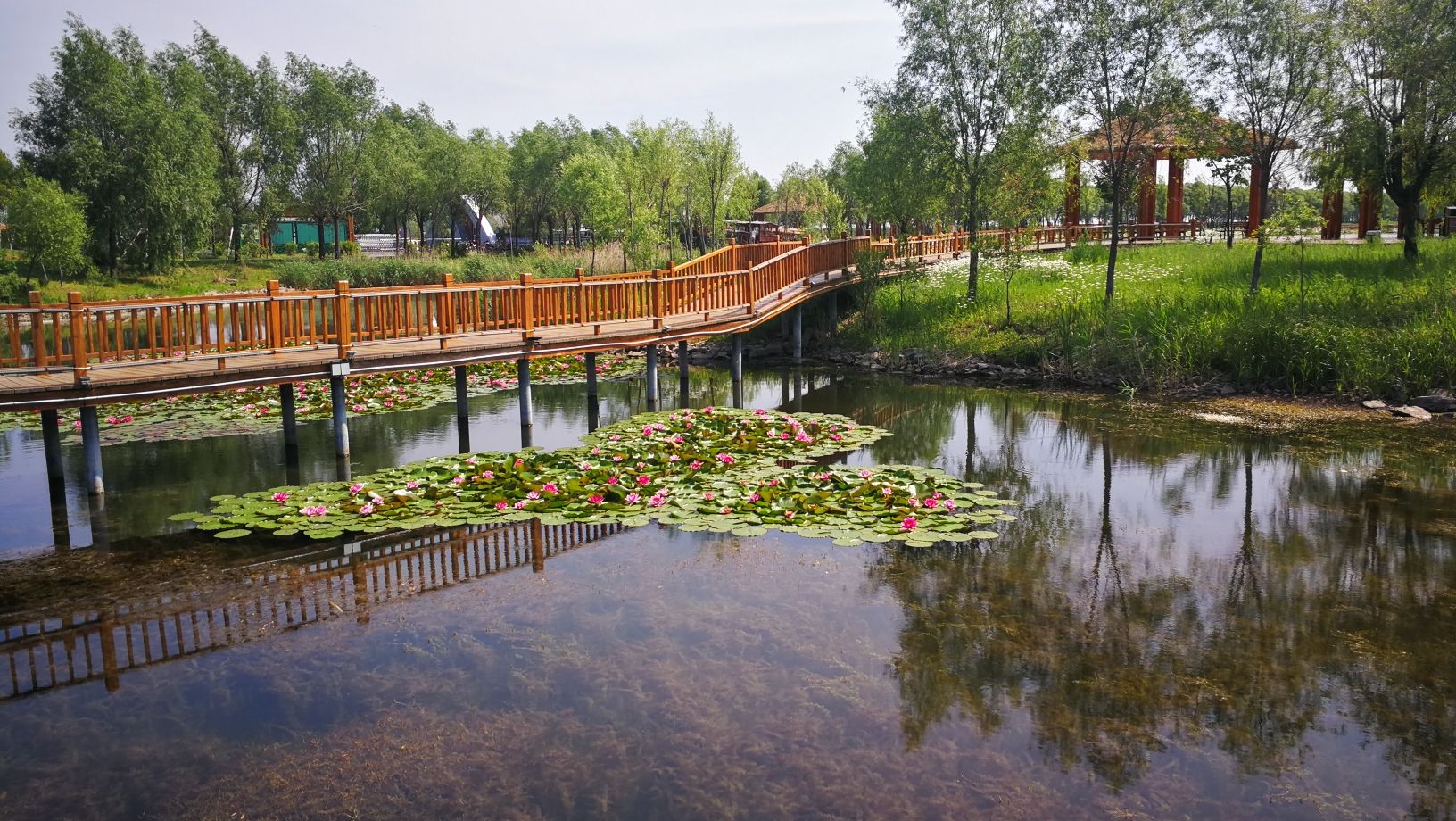 富锦国家湿地公园(暂停开放)旅行图片 1