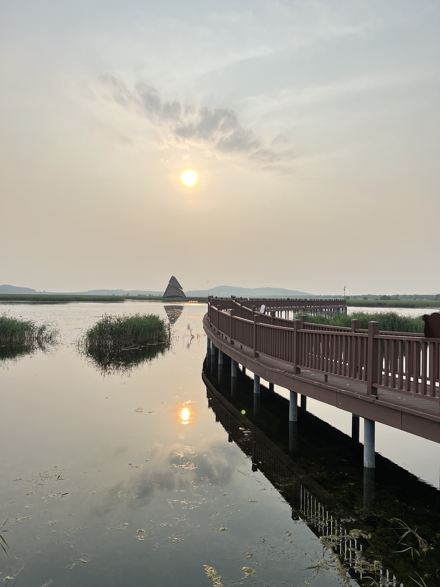 富锦国家湿地公园(暂停开放)旅行图片 3