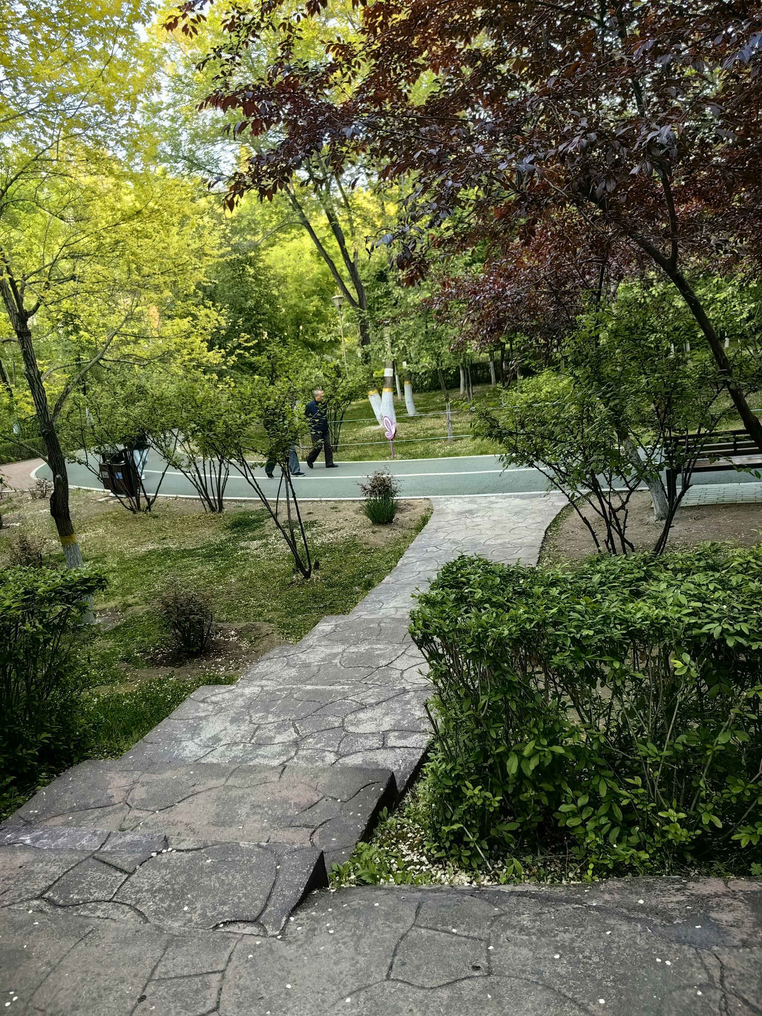双拥公园旅行图片 3