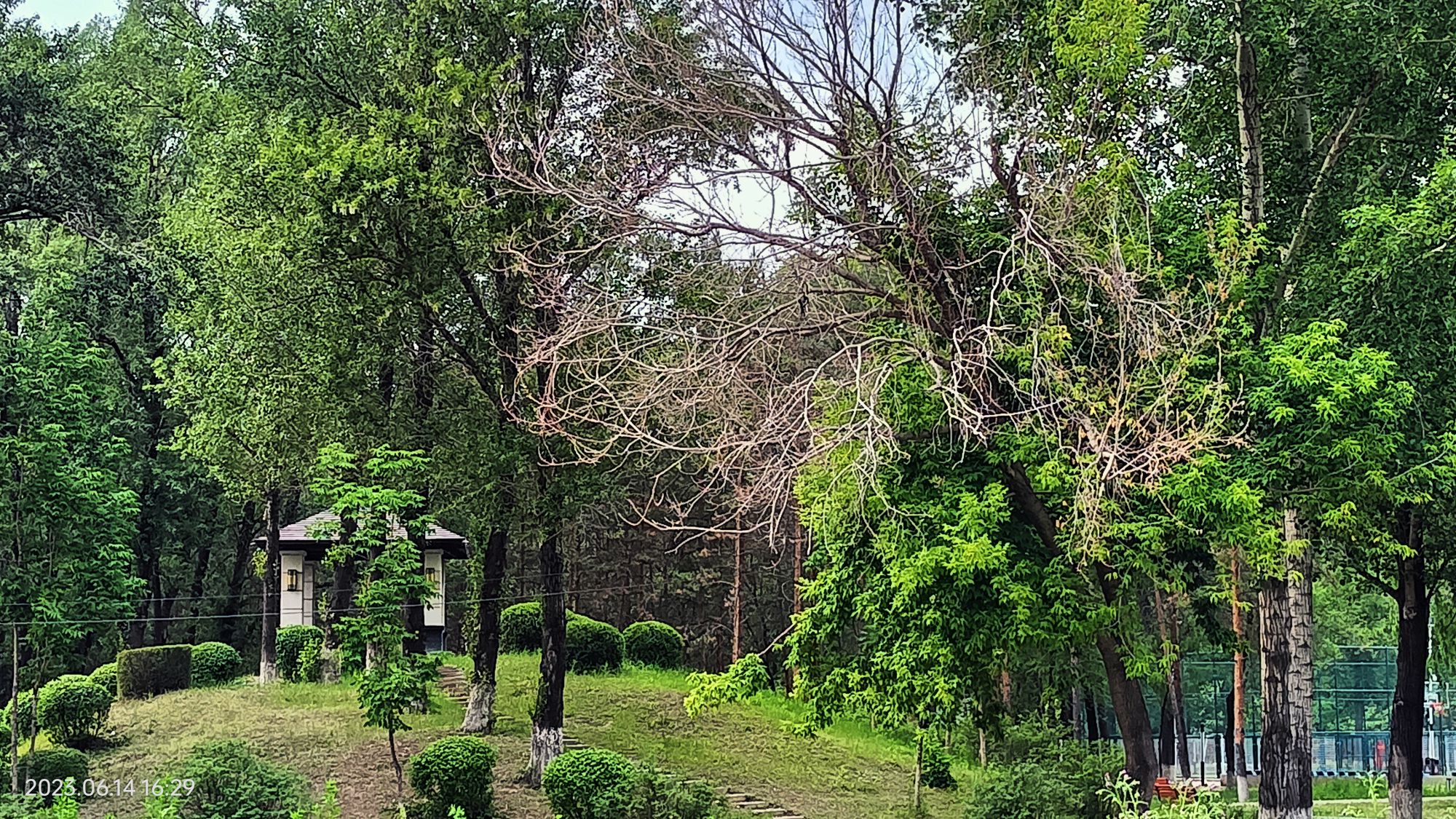 绿云公园旅行图片 2