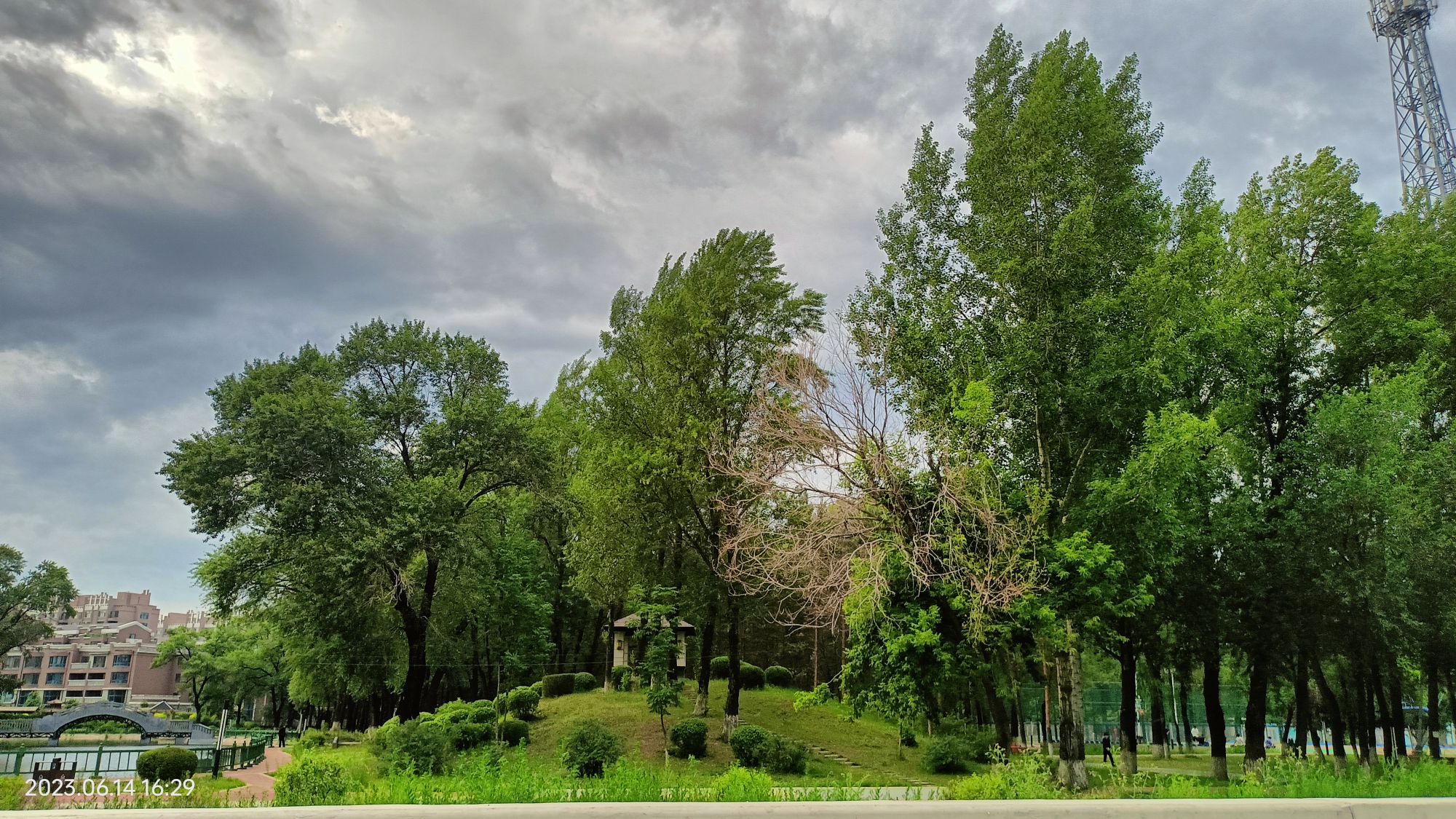 绿云公园旅行图片 1