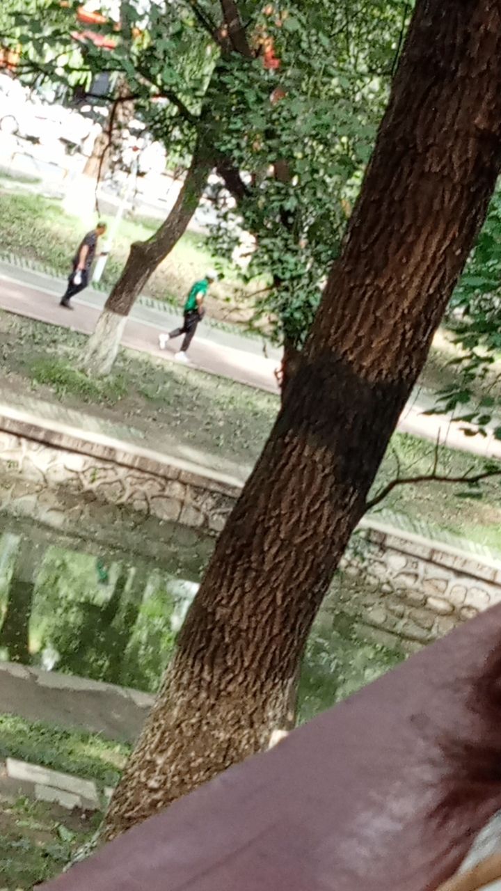 丁玲公园旅行图片 2