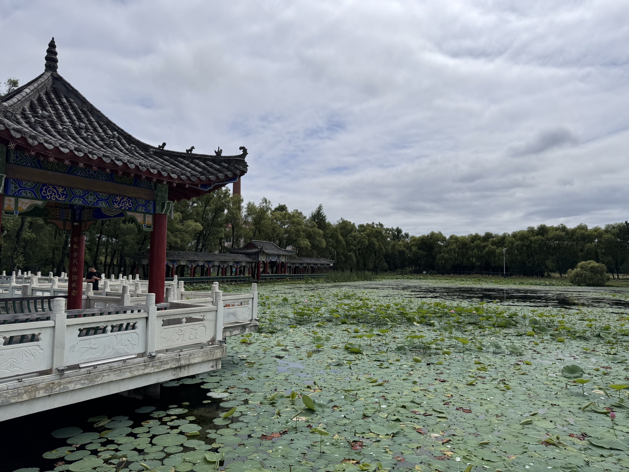 丁玲公园旅行图片 3