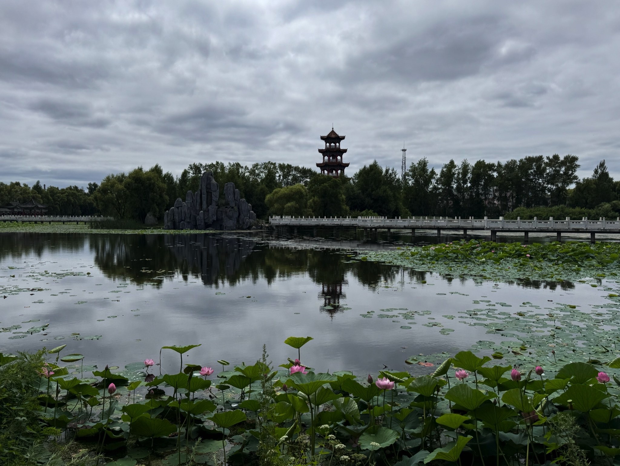 丁玲公园旅行图片 1
