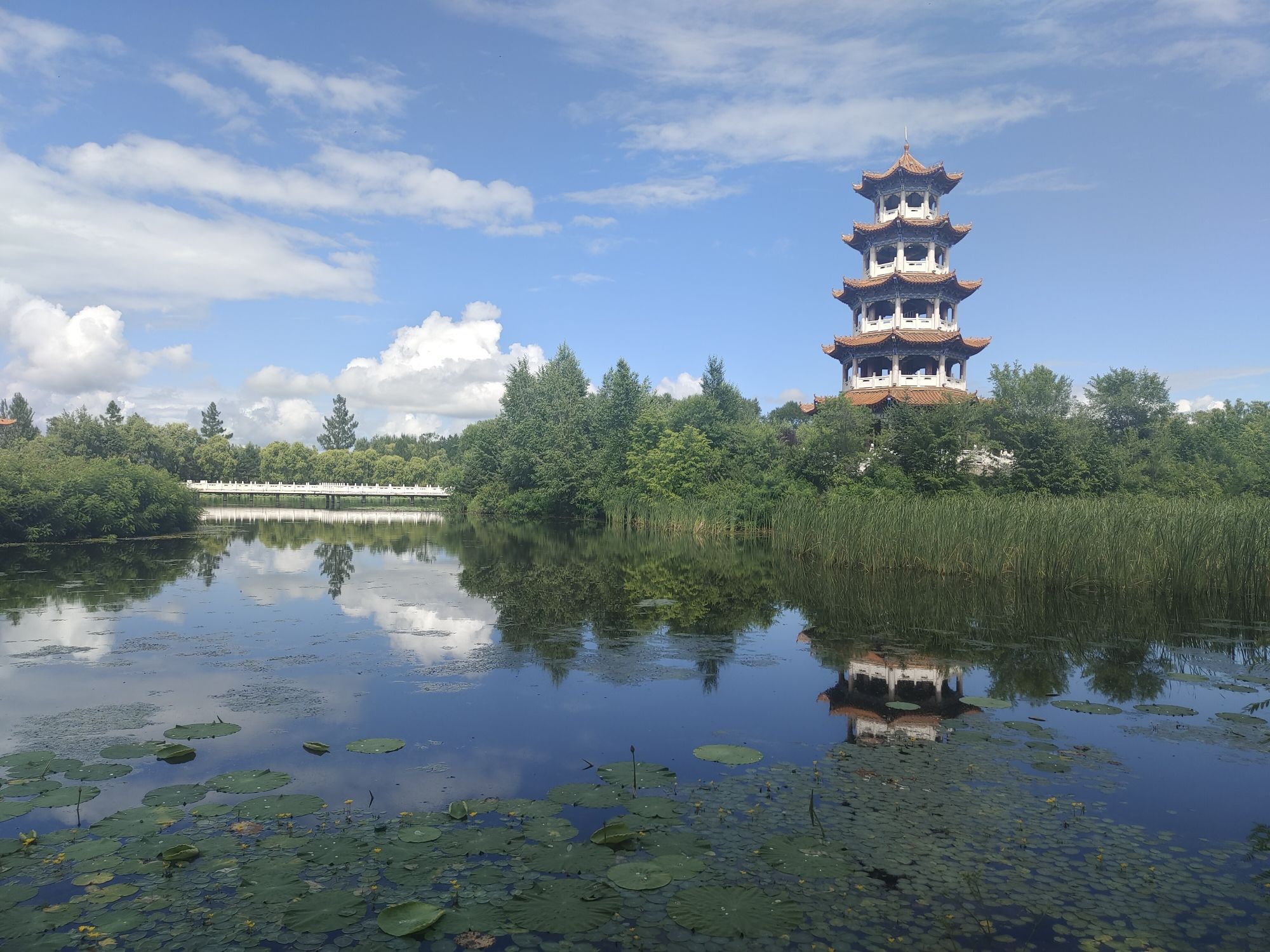 丁玲公园旅行图片 1