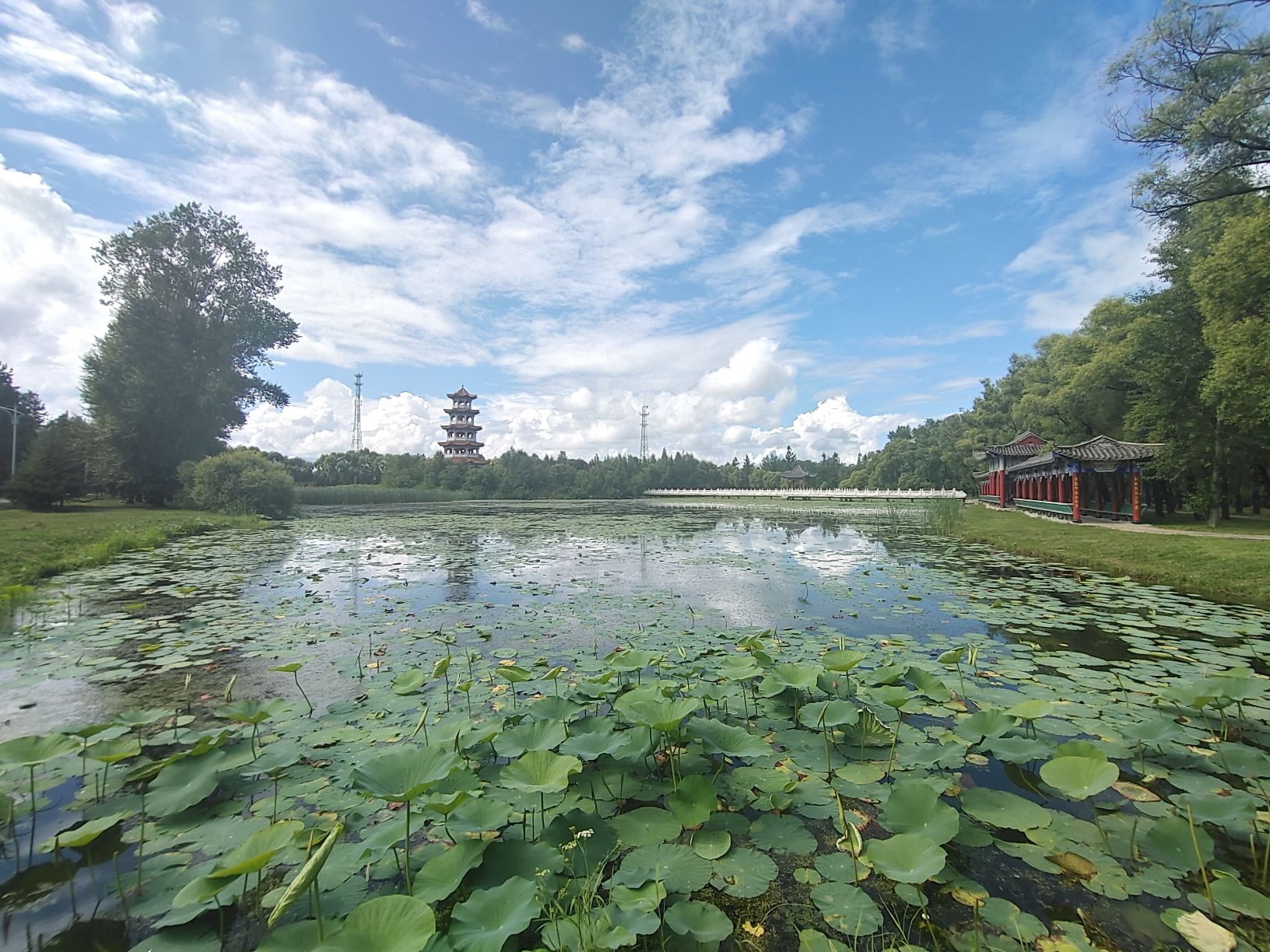 丁玲公园旅行图片 2