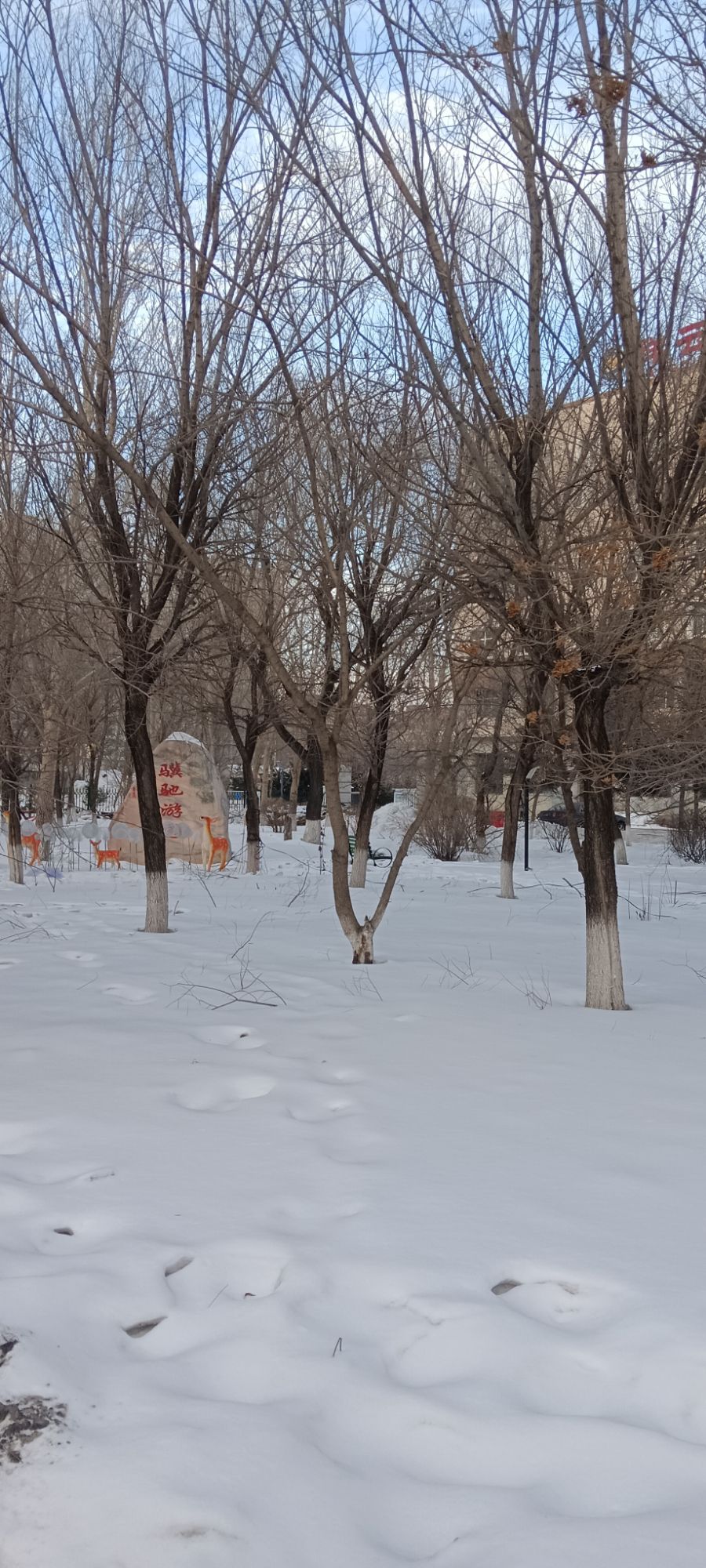 骥驰游园旅行图片 2