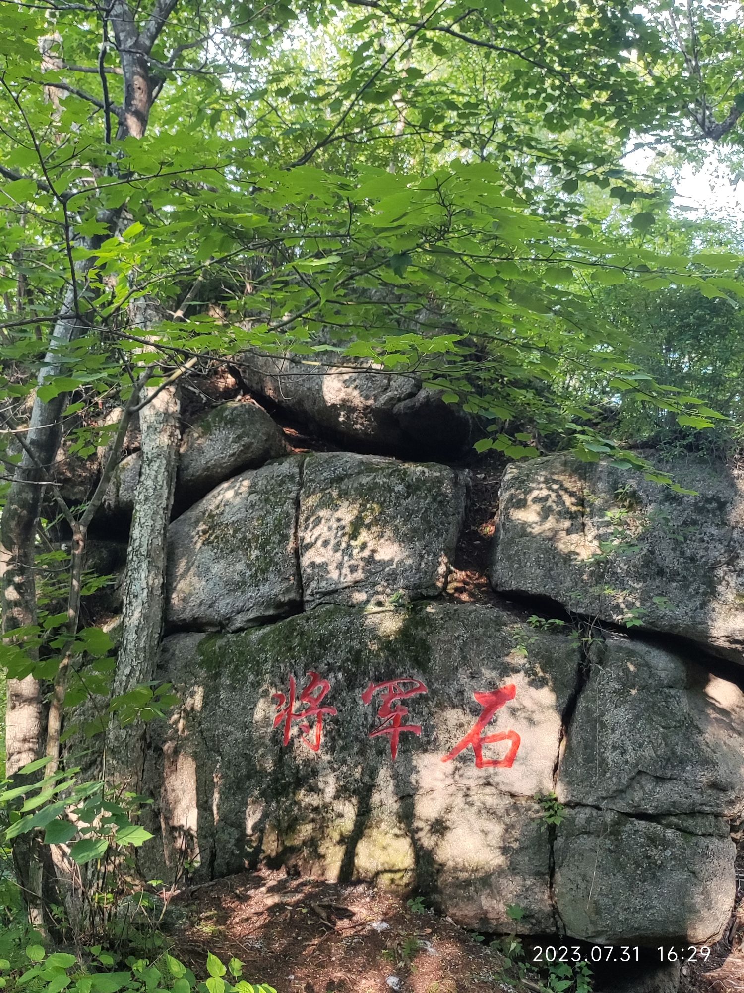 黑龙江七星山国家森林公园旅行图片 1