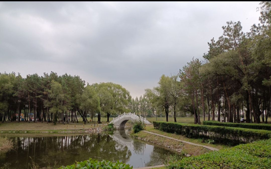 雷炎公园旅行图片 2