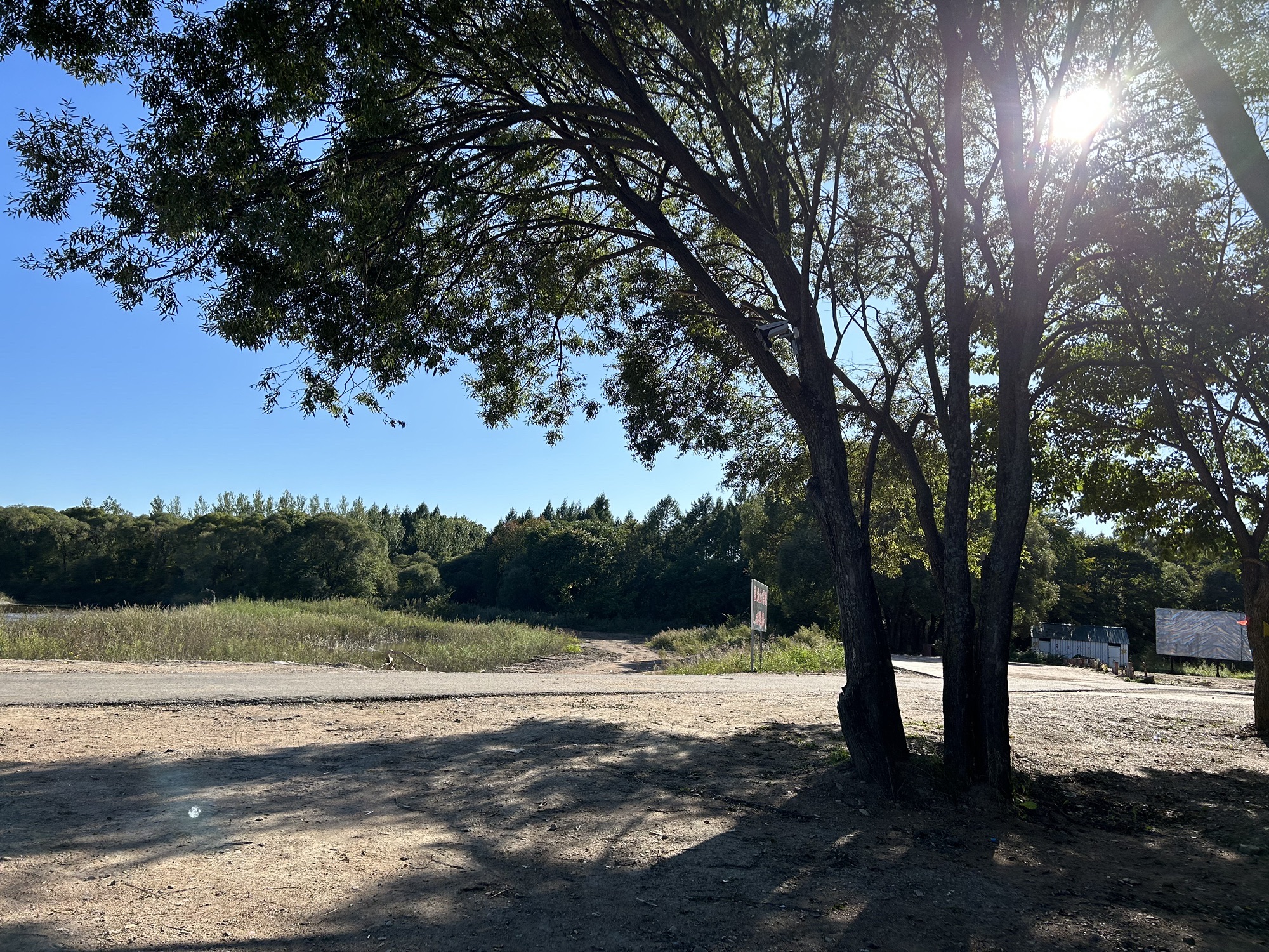 望龙山国家森林公园旅行图片 3