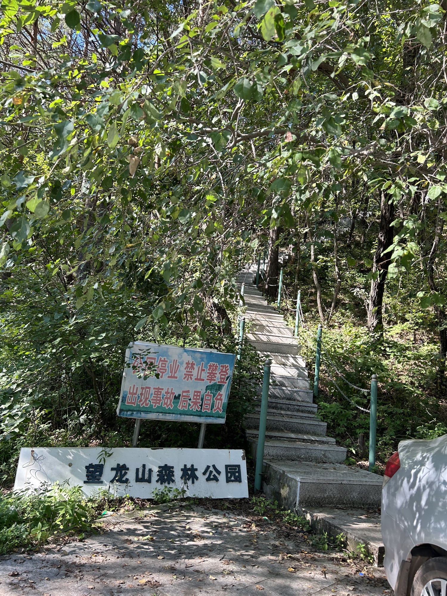 望龙山国家森林公园旅行图片 1