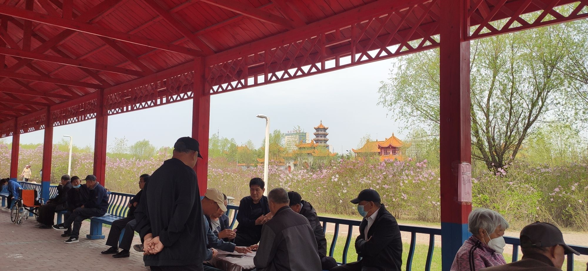 生态园林旅行图片 1