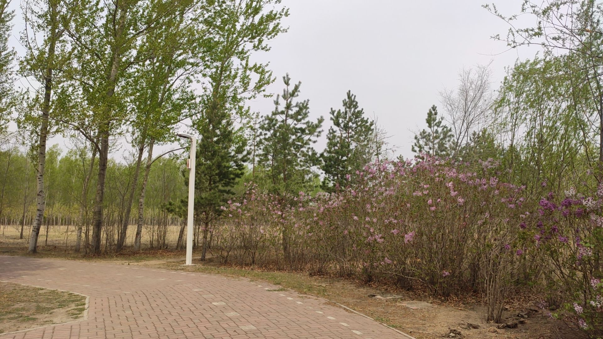 生态园林旅行图片 3