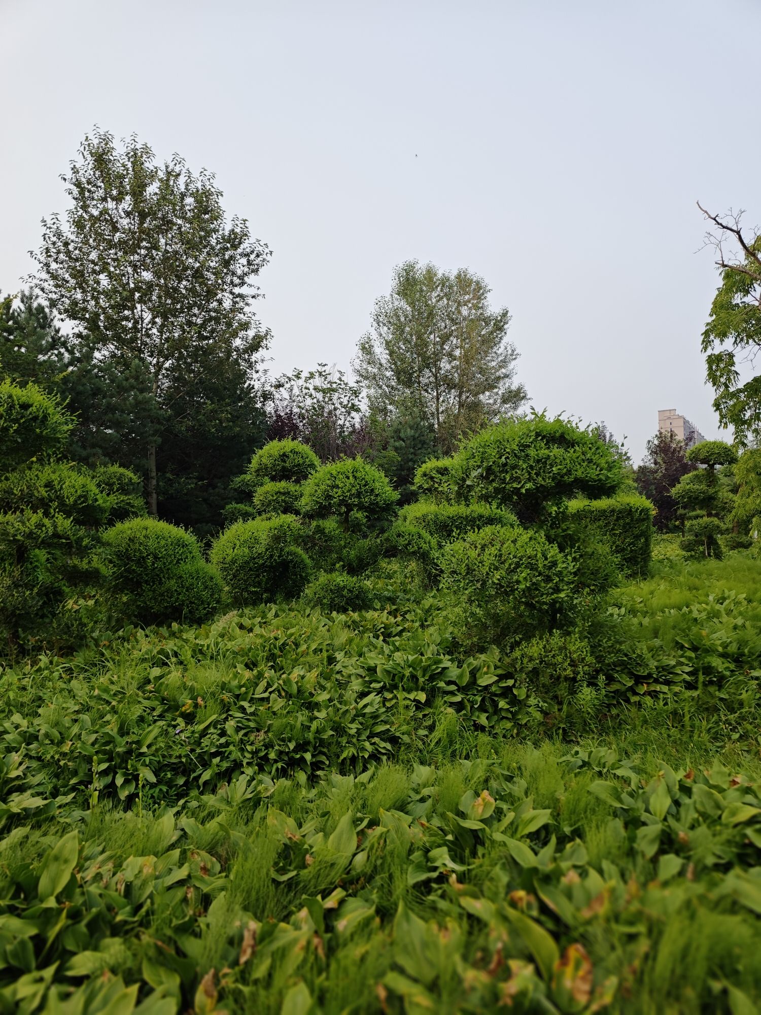 望奎县植物园旅行图片 3