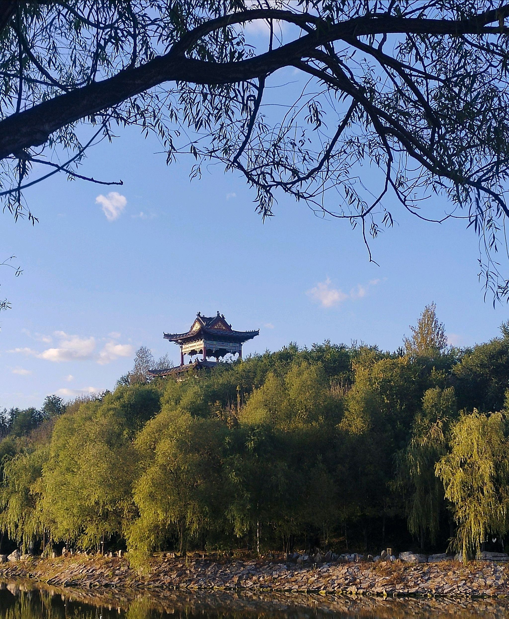 望奎县植物园旅行图片 1