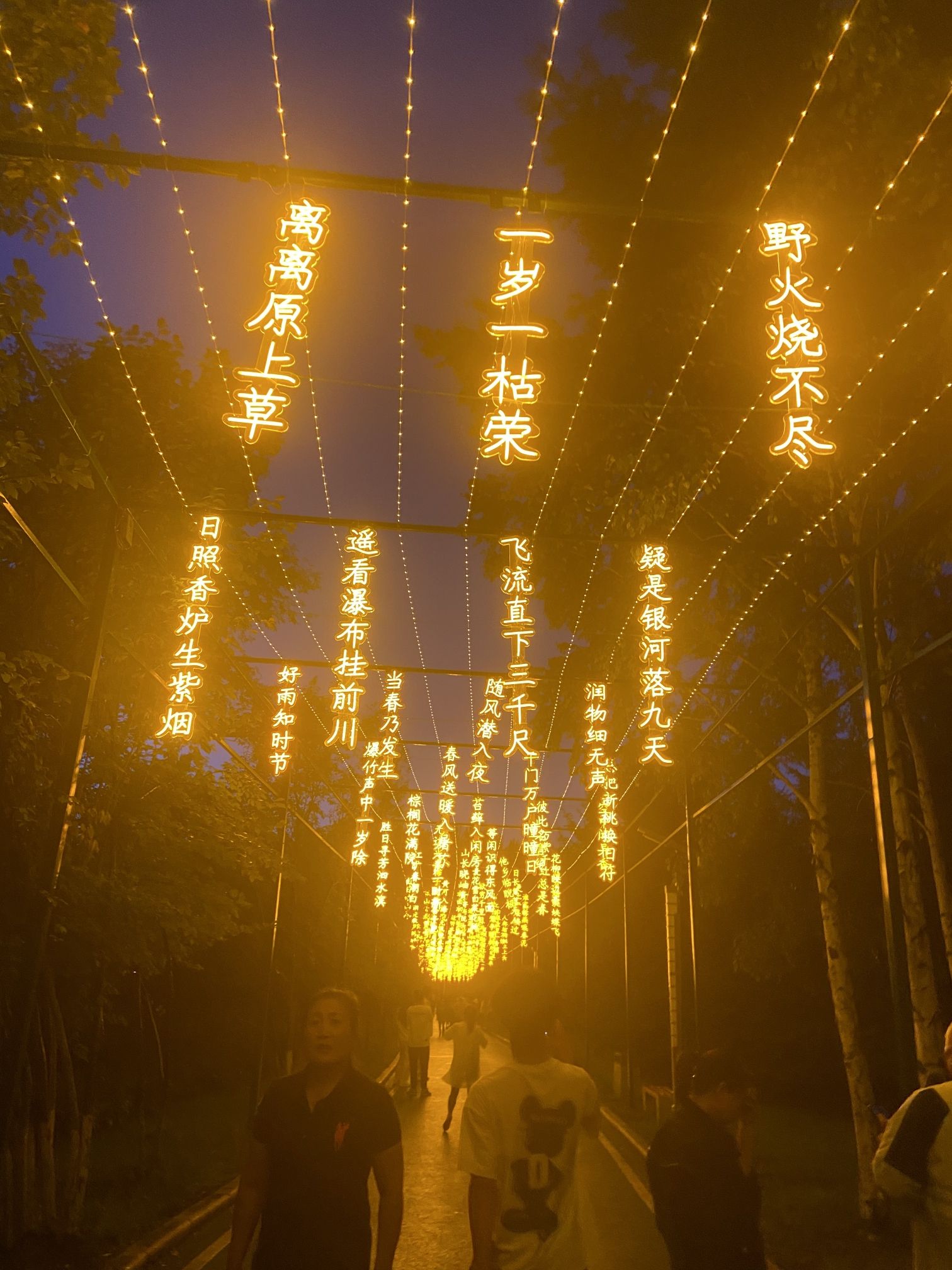 望奎县植物园旅行图片 2