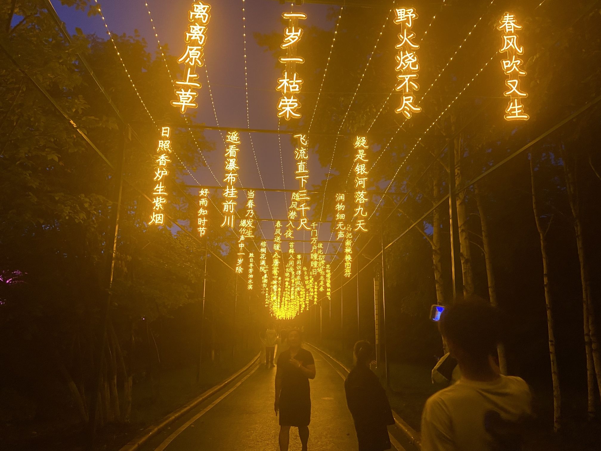 望奎县植物园旅行图片 1