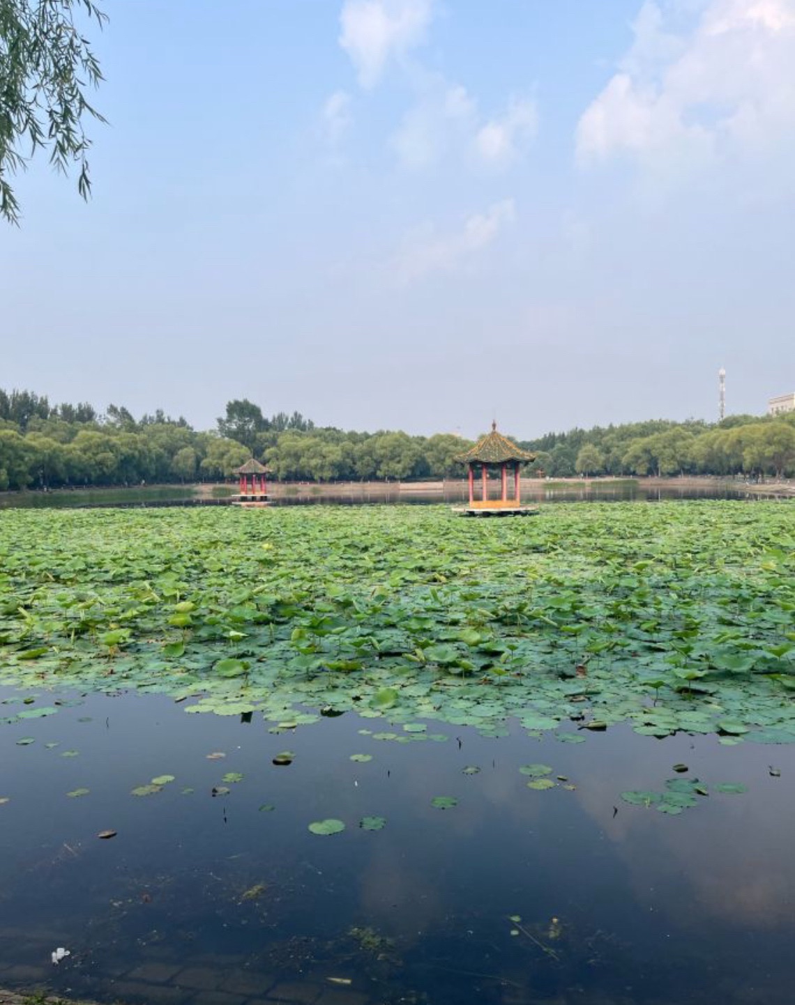 东北湖公园旅行图片 2