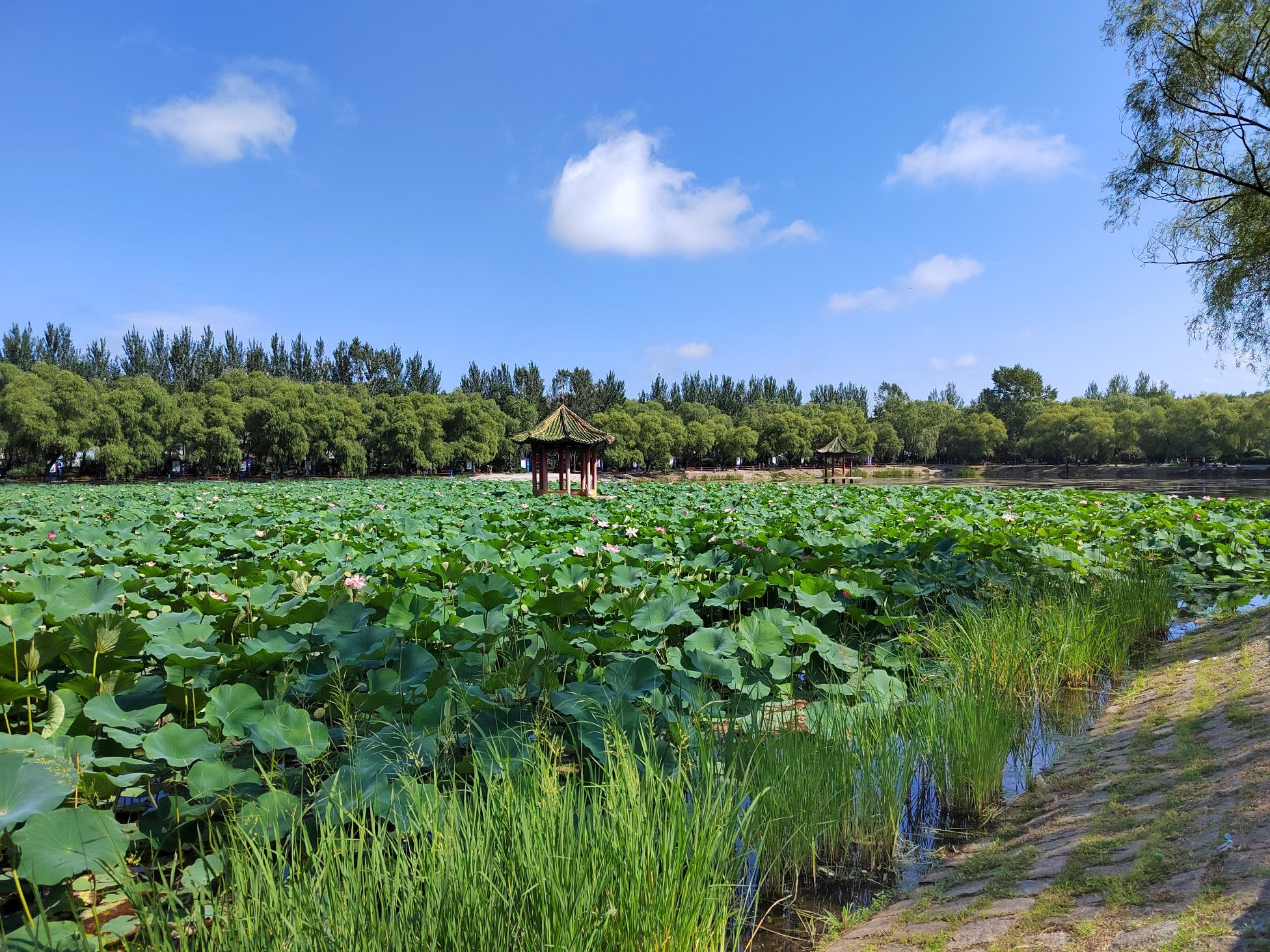 东北湖公园