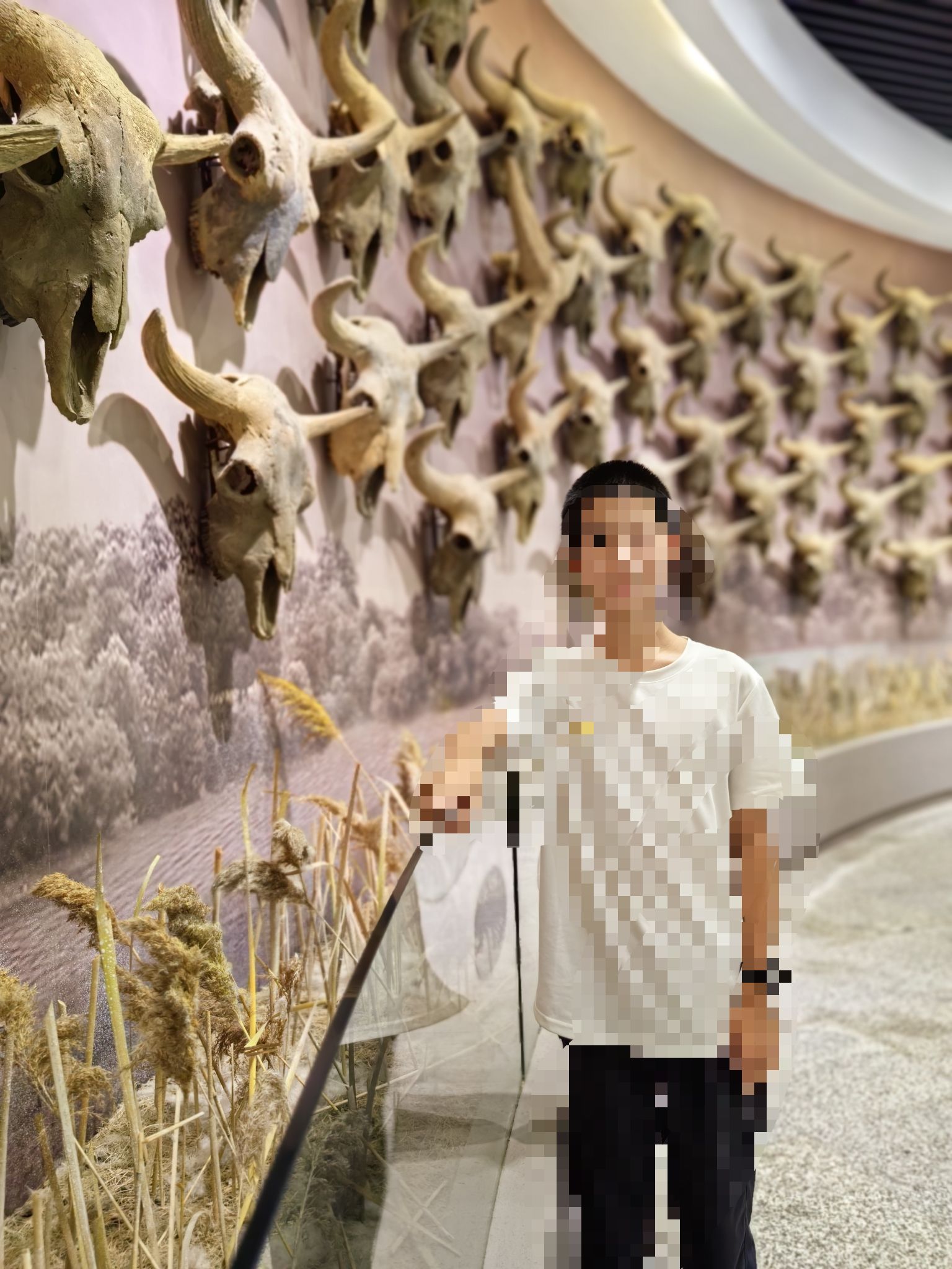 绥化博物馆旅行图片 2