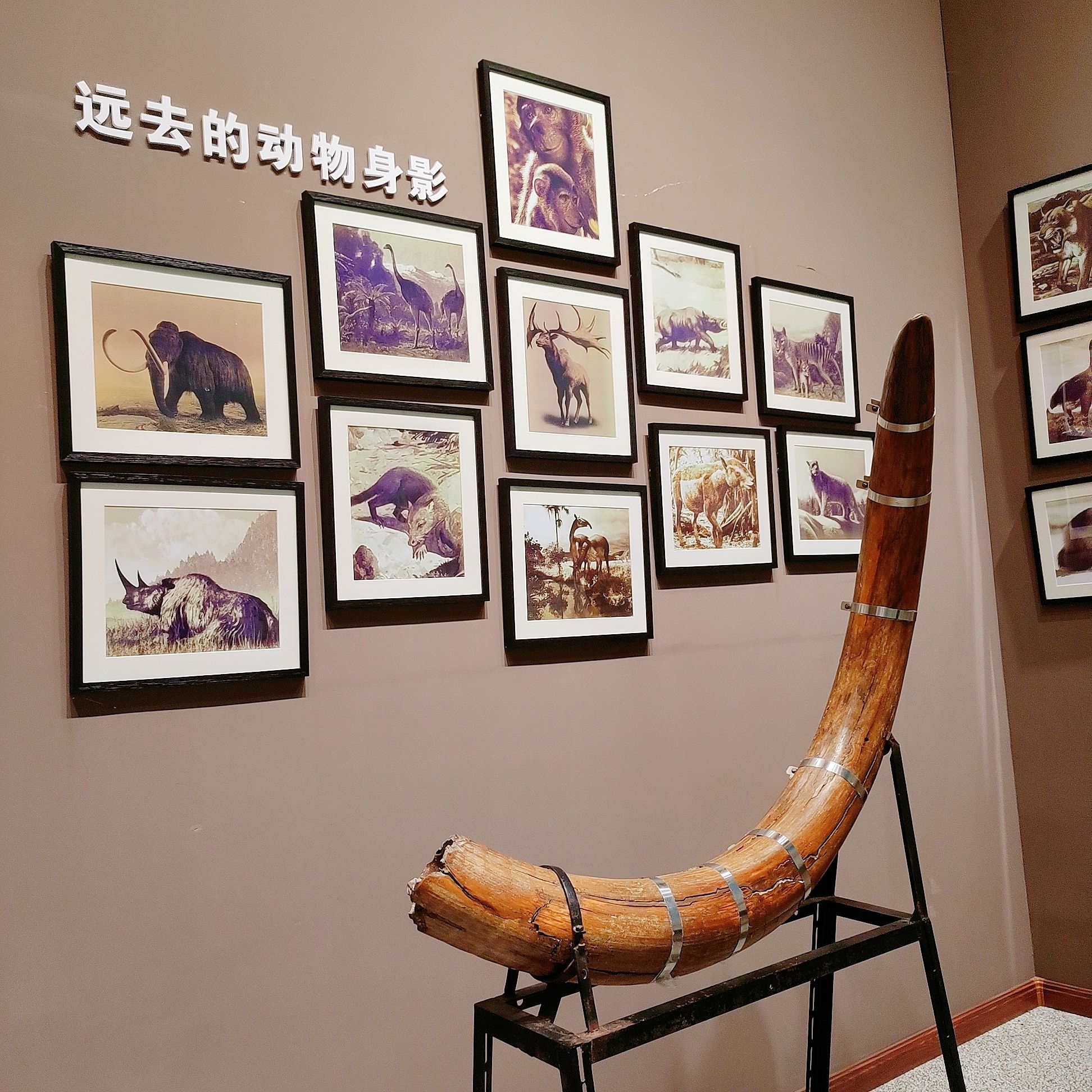 绥化博物馆旅行图片 3