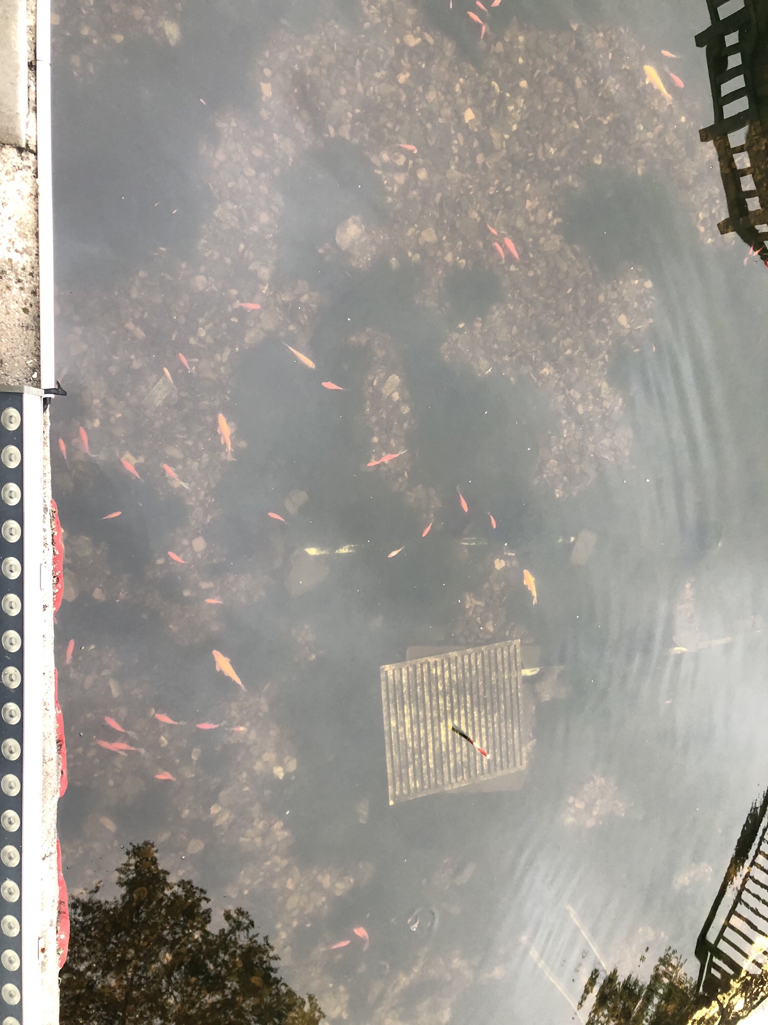 黑龙江公园旅行图片 2