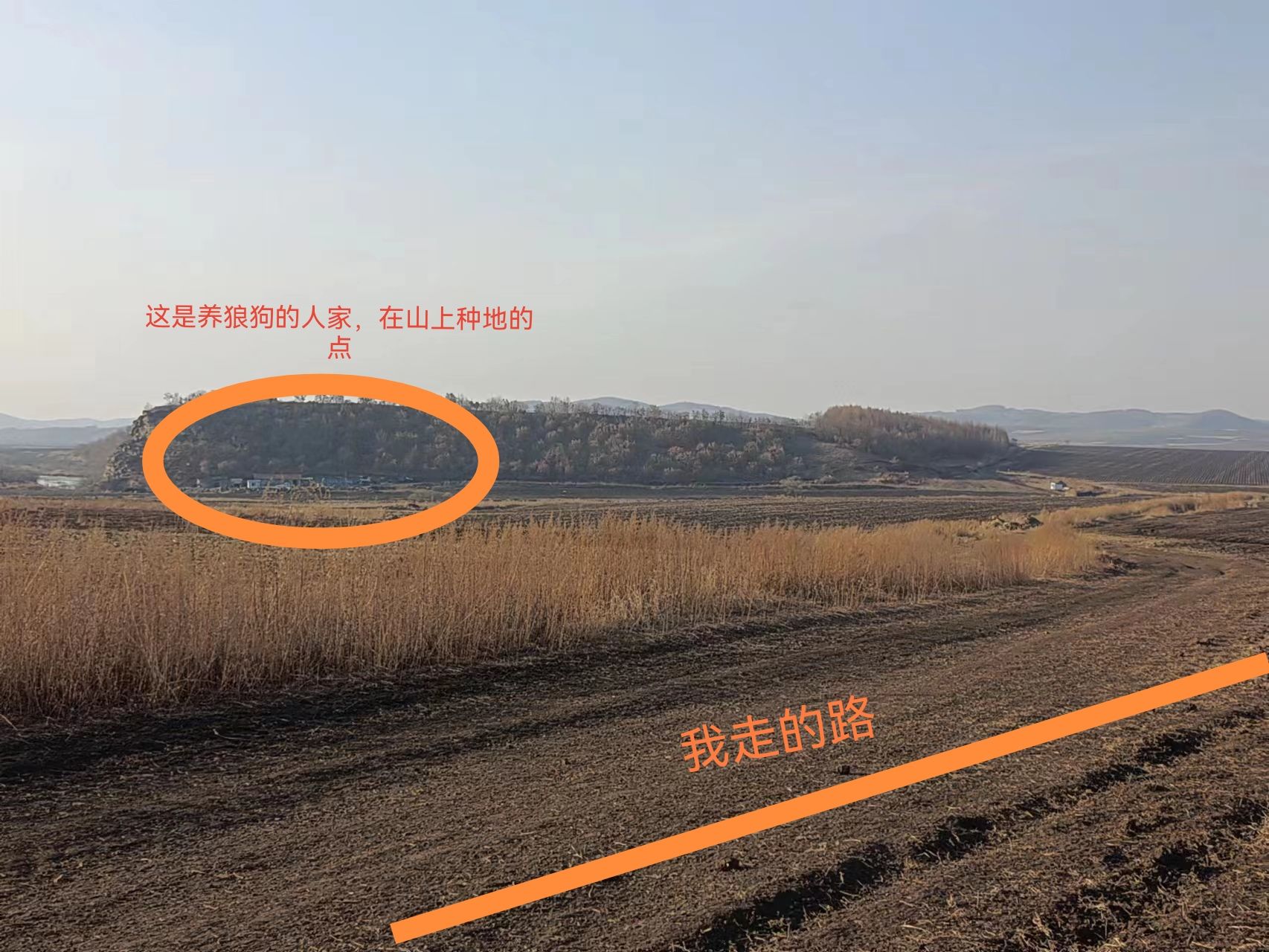 科洛火山群旅行图片 3