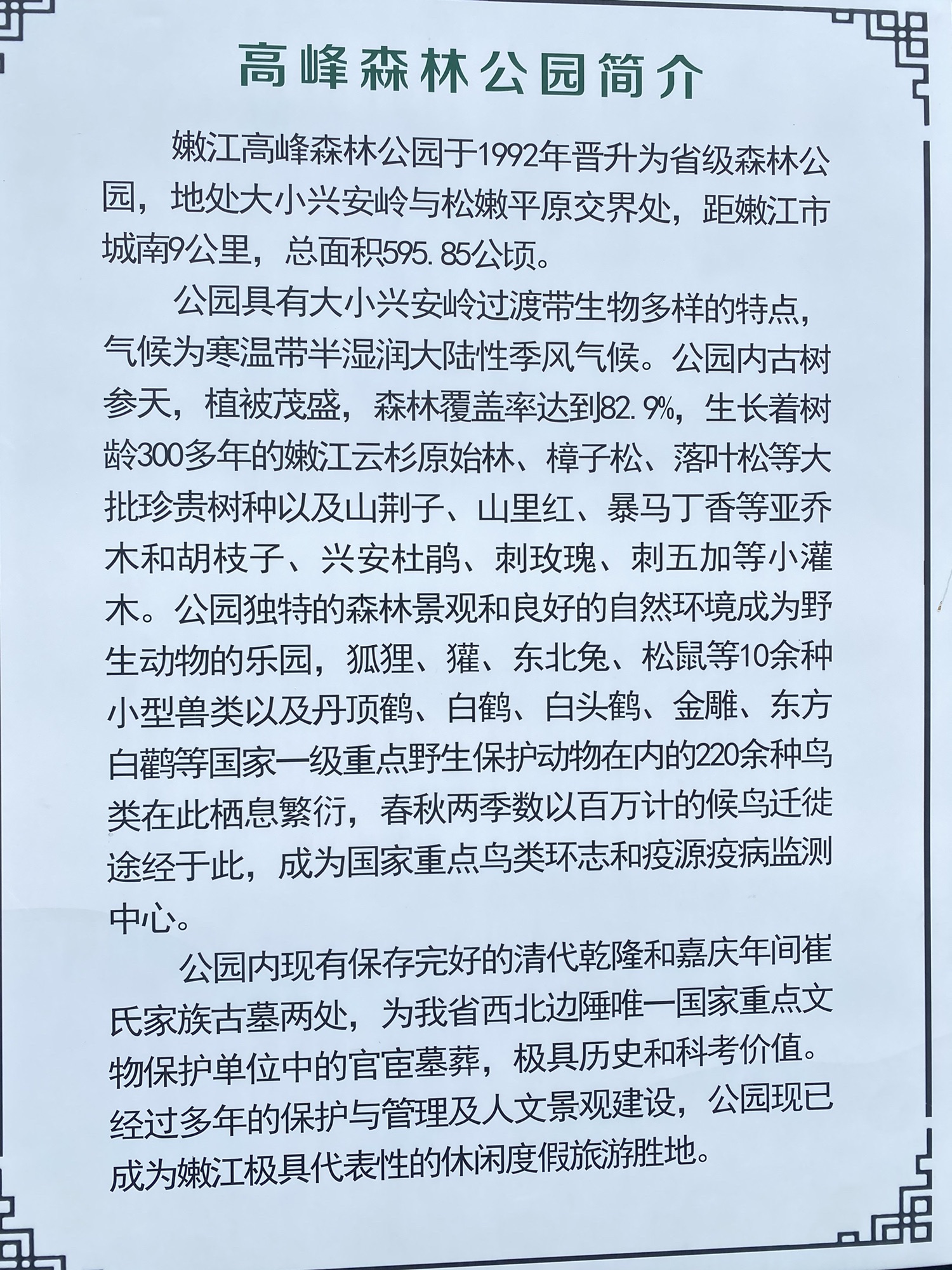 嫩江高峰森林公园旅行图片 1